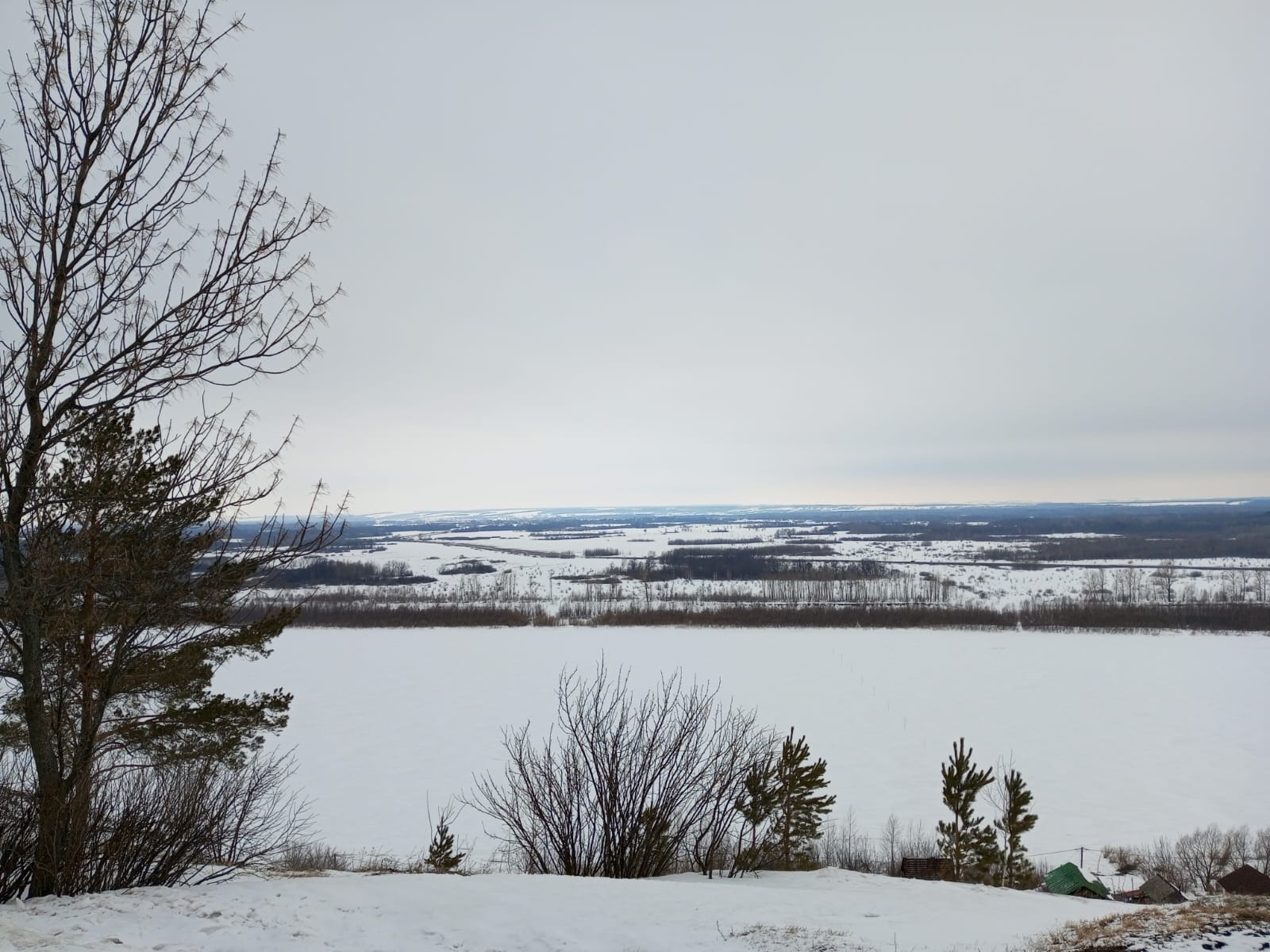 Евгении Сюткиной.