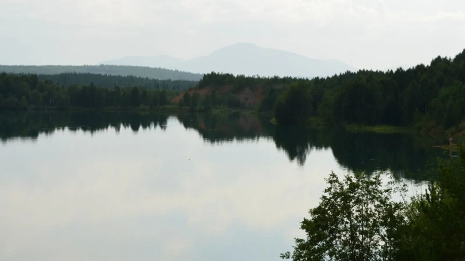 Фото автора.