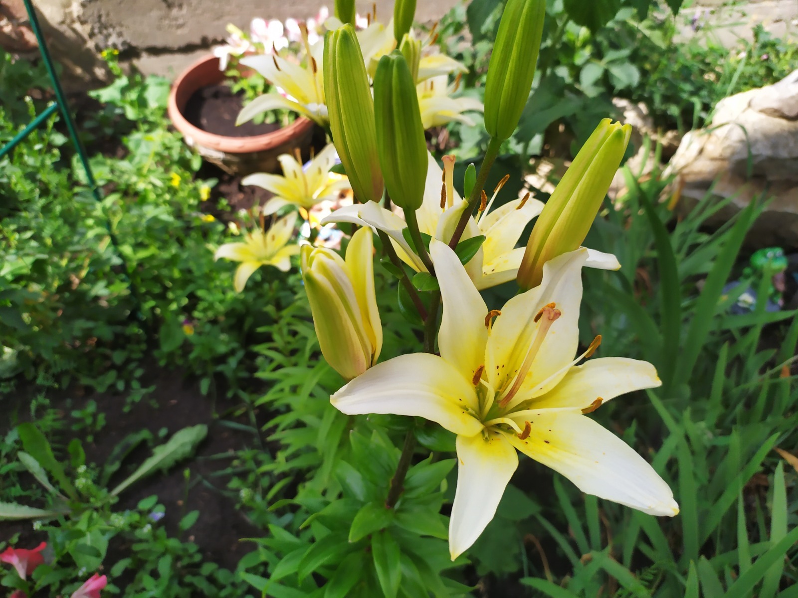 Васили Саитовой.