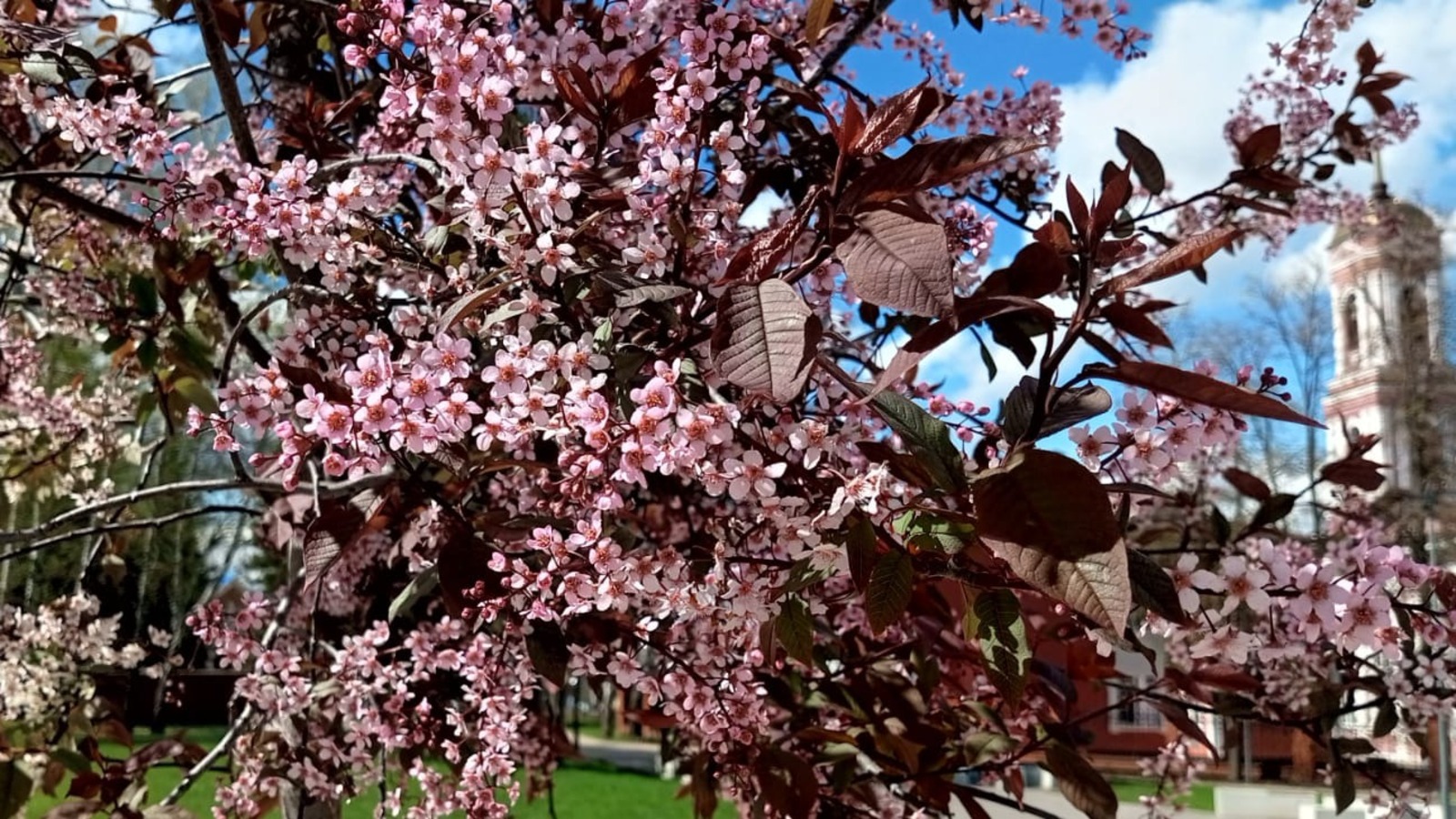 Евгении Сюткиной.