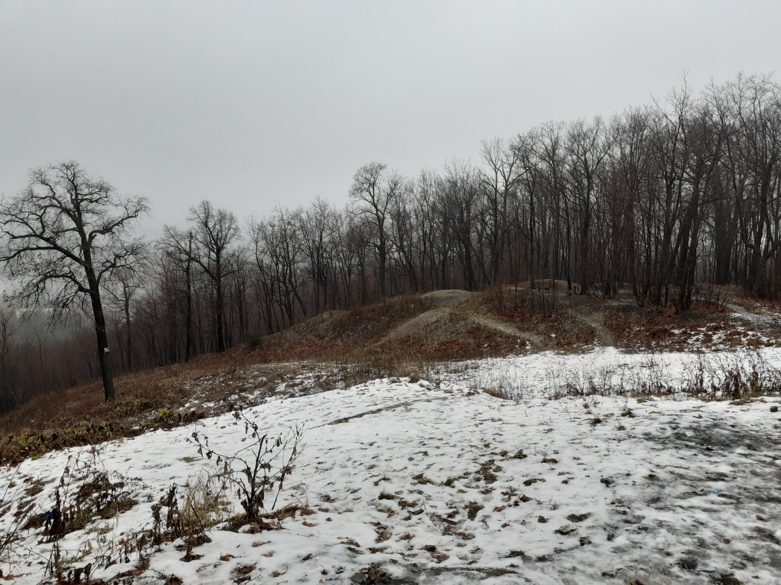 Владимира Шакиева.