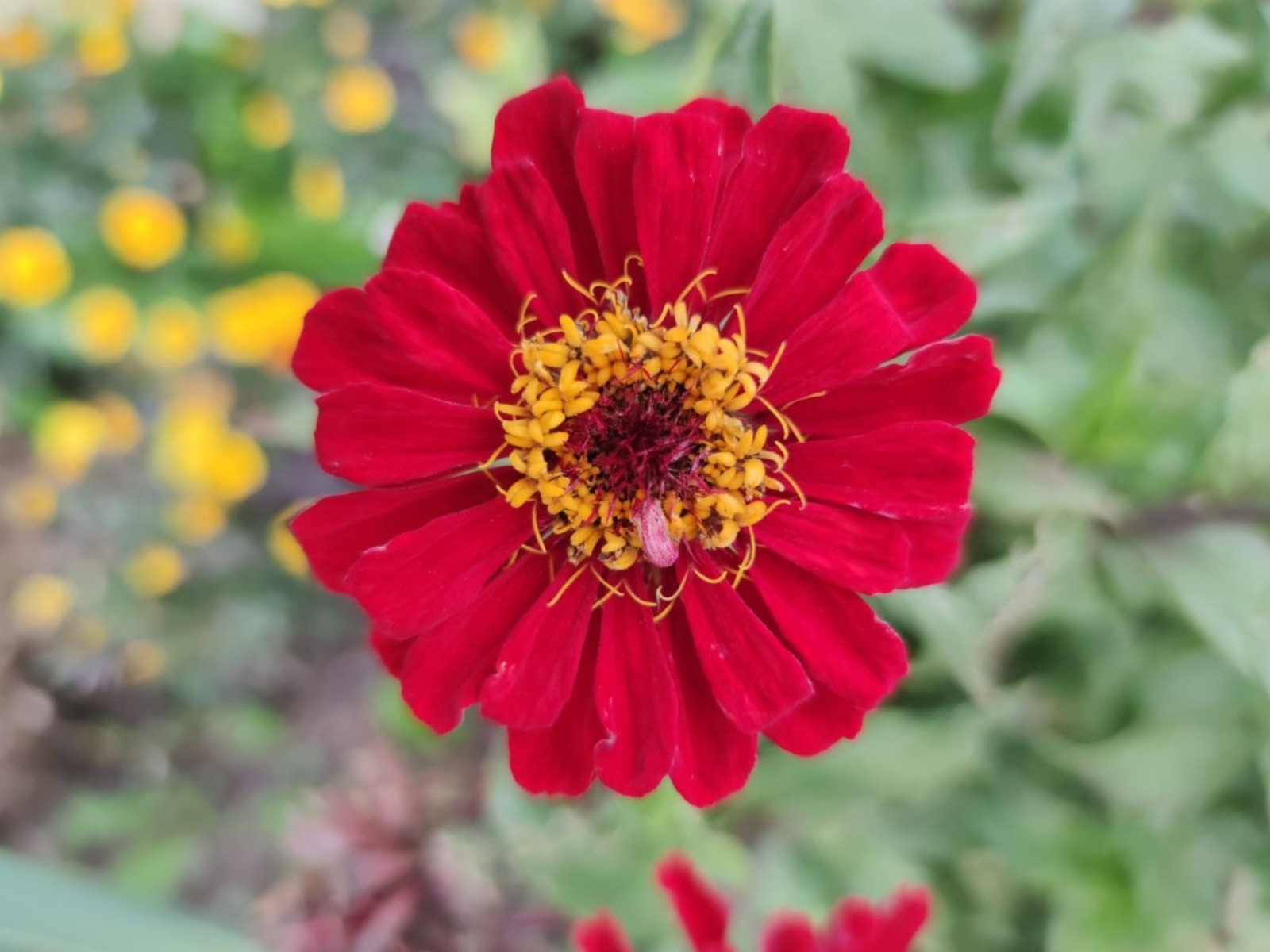 Дарьи Святохиной.