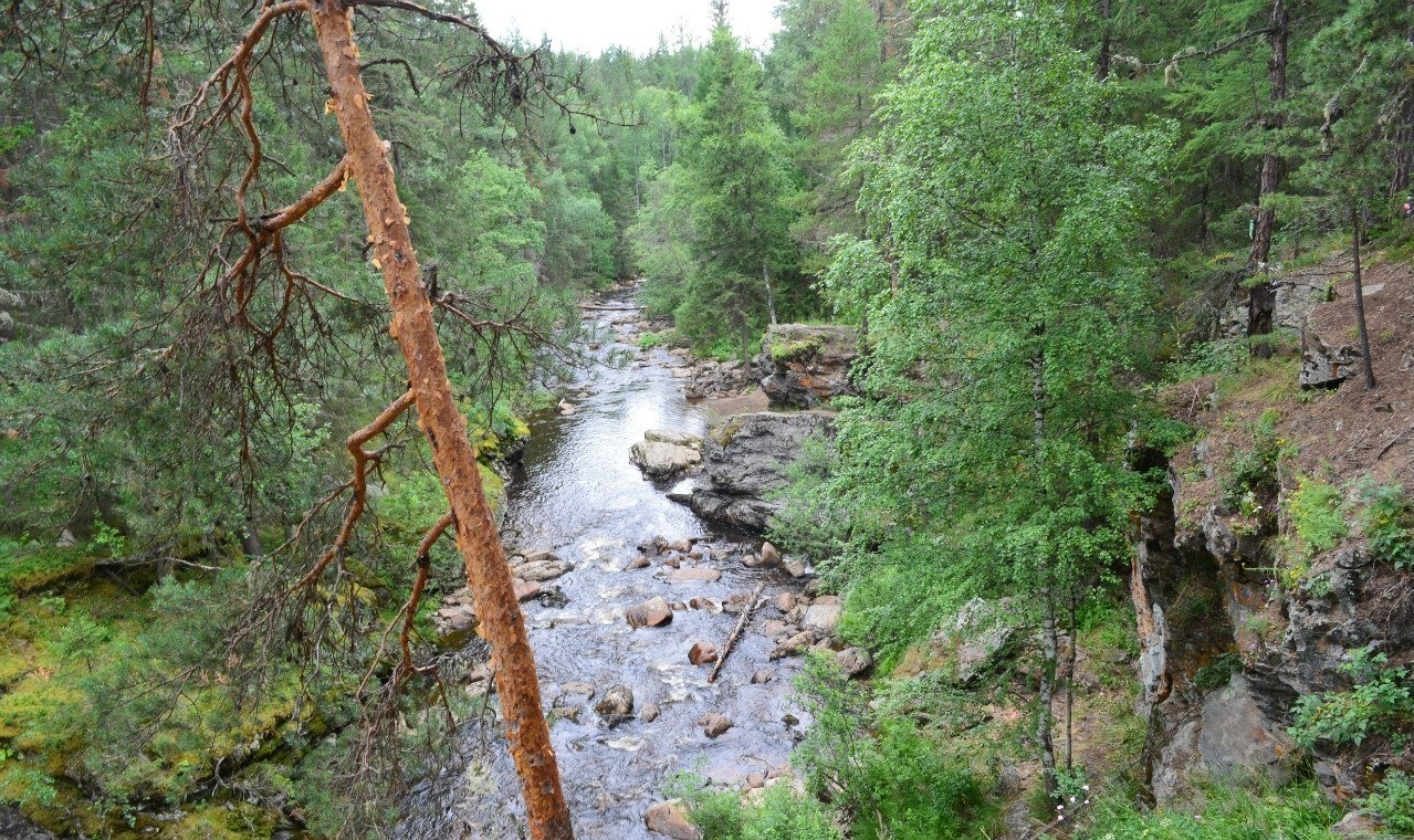 Владимира Шакиева.