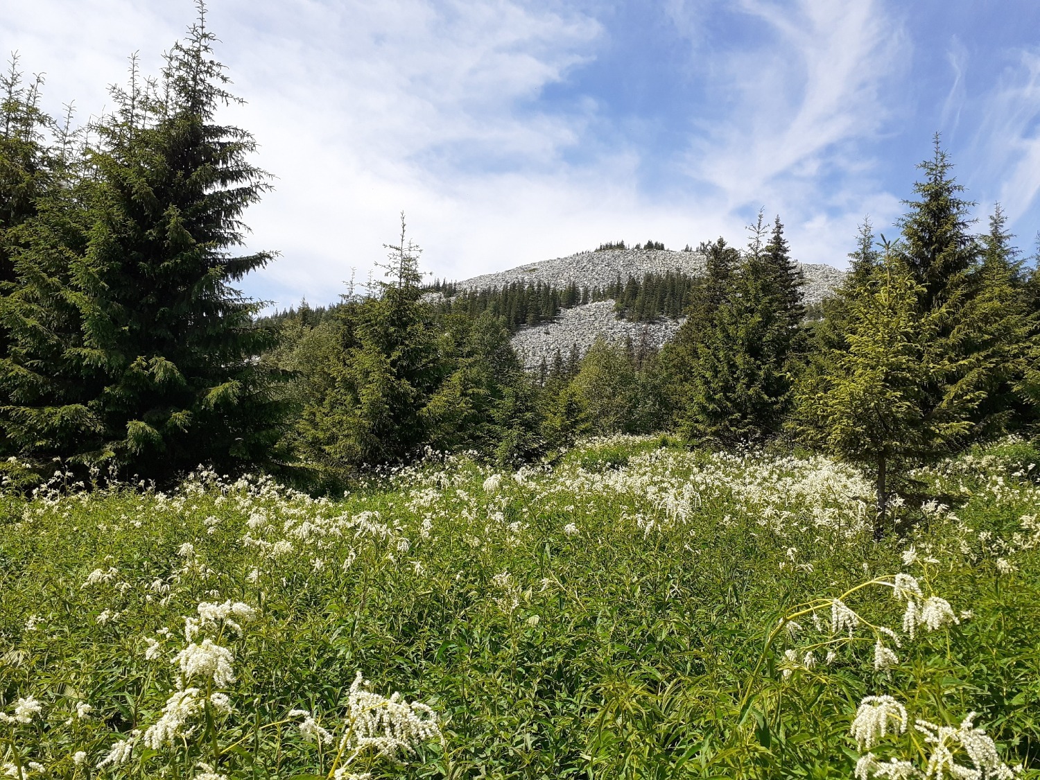 Владимира Шакиева.