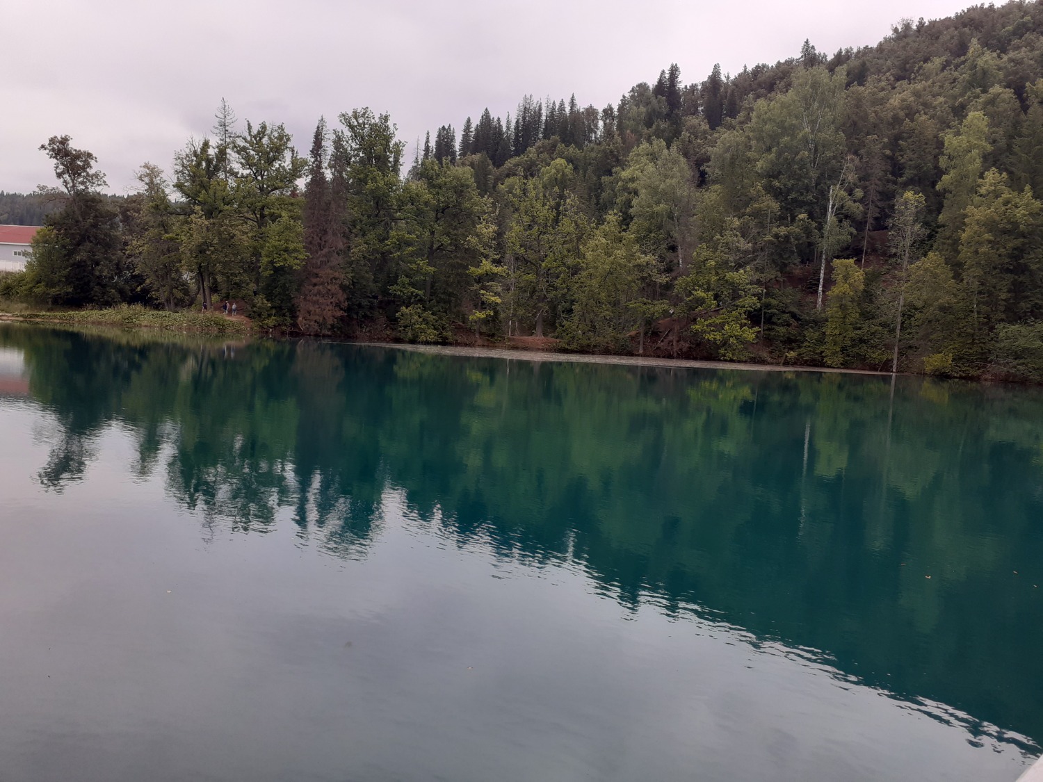 Владимира Шакиева.