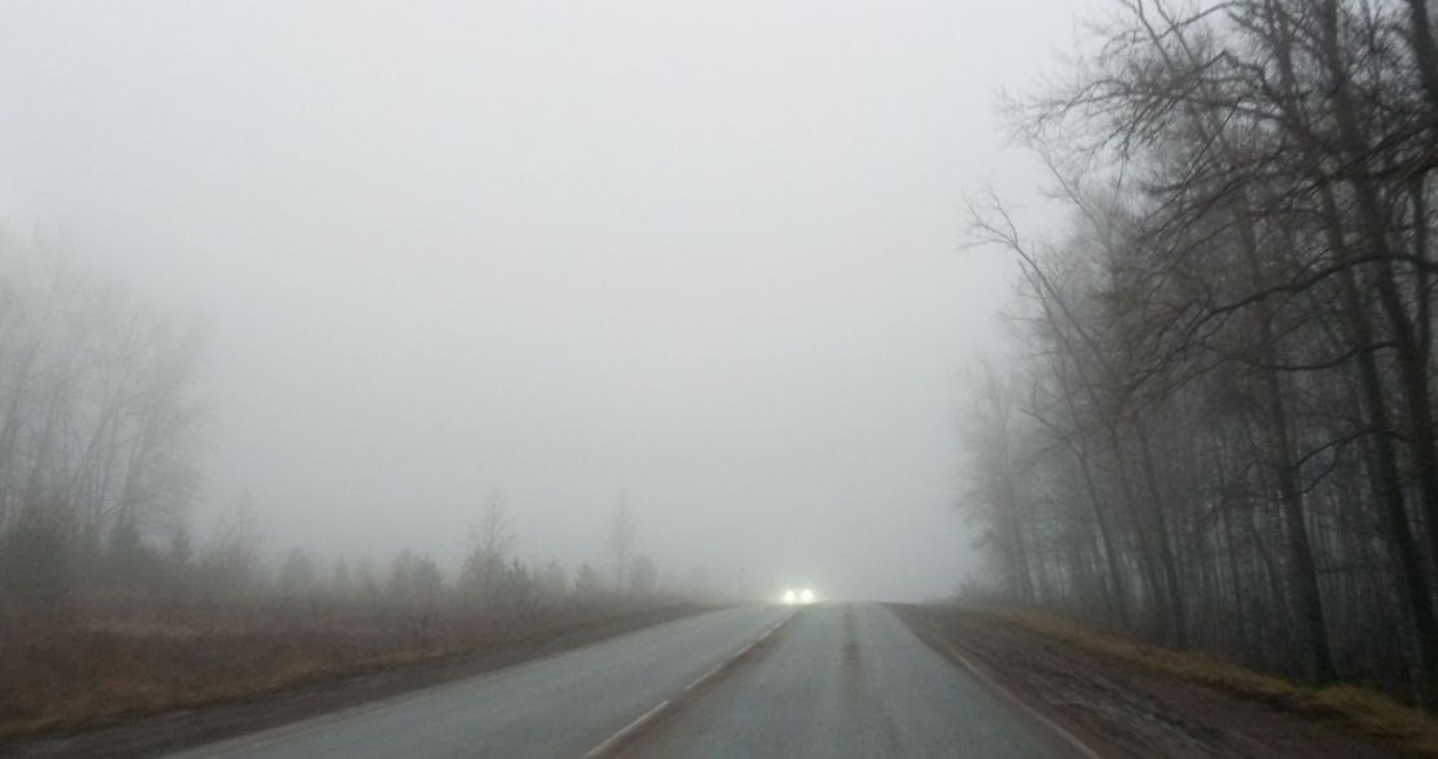 Евгении Сюткиной. «Общественная электронная газета».