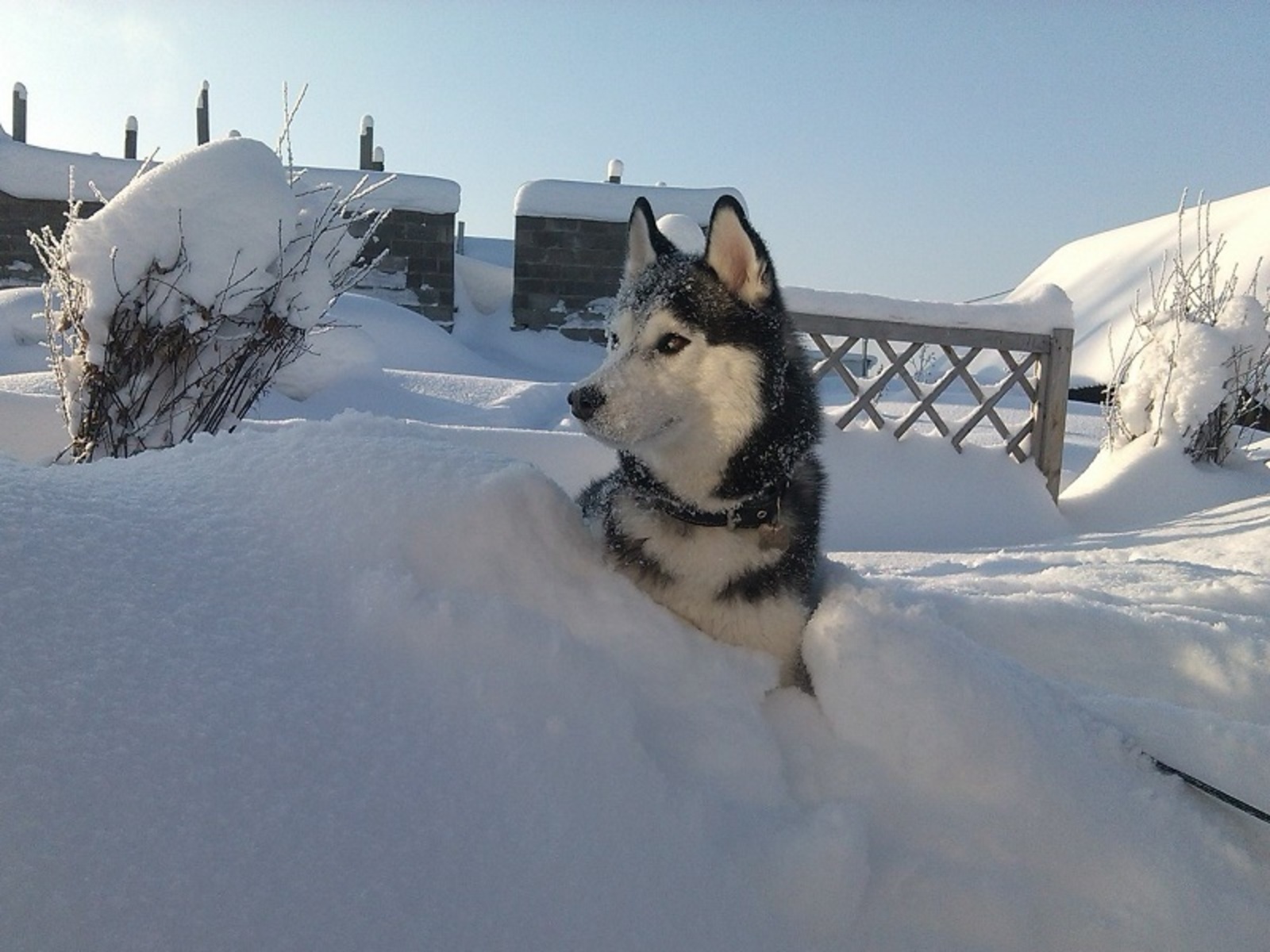Фото предоставлено семьей Валеевых.