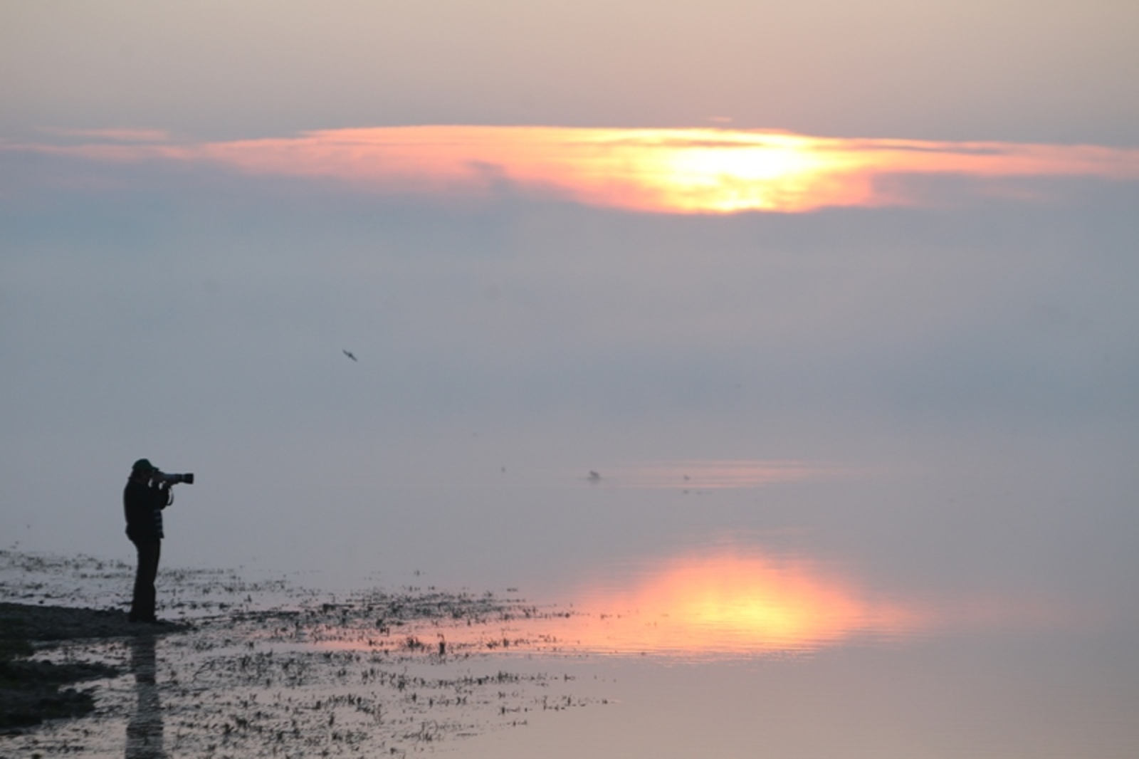 Фото Олега Яровикова.