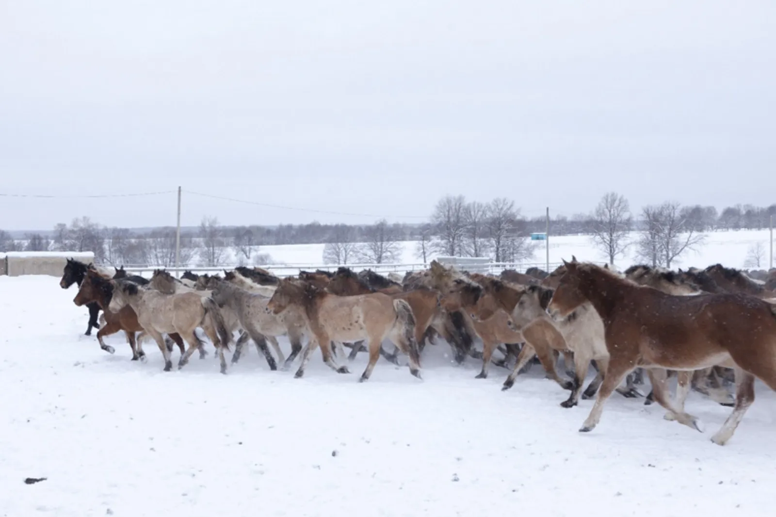 Фото Фаиля Абсатарова.