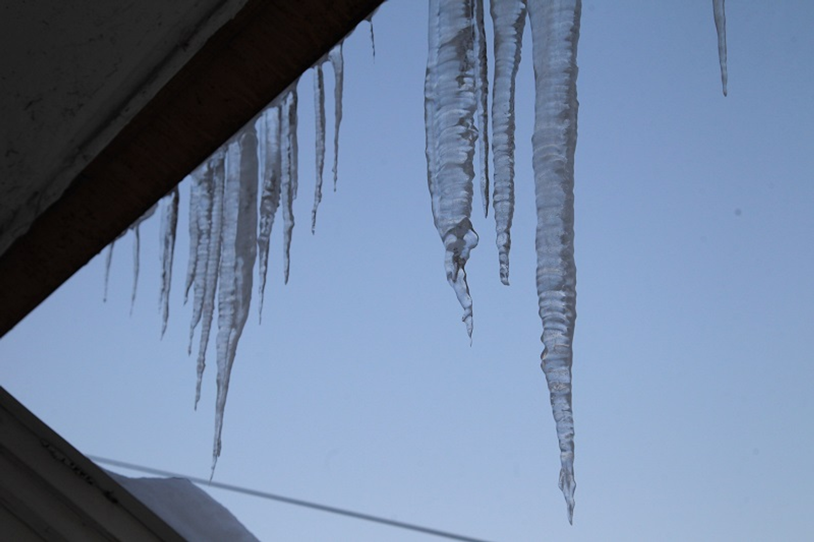 Фото Олега Яровикова.