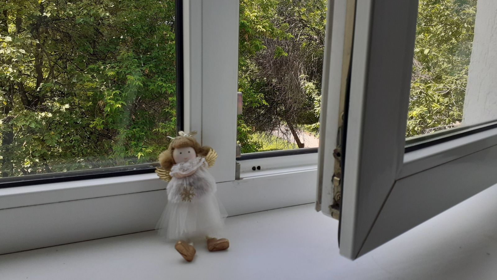 Владимира Шакиева.