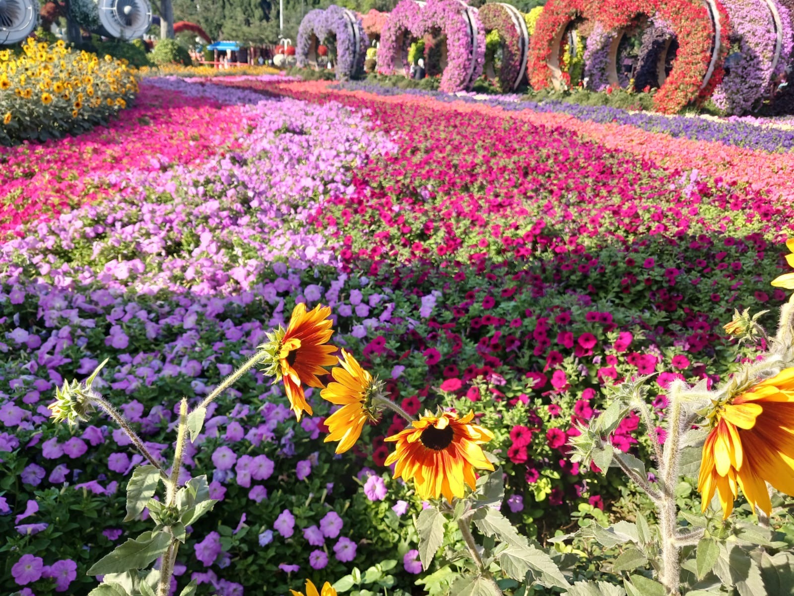 Васили Саитовой.