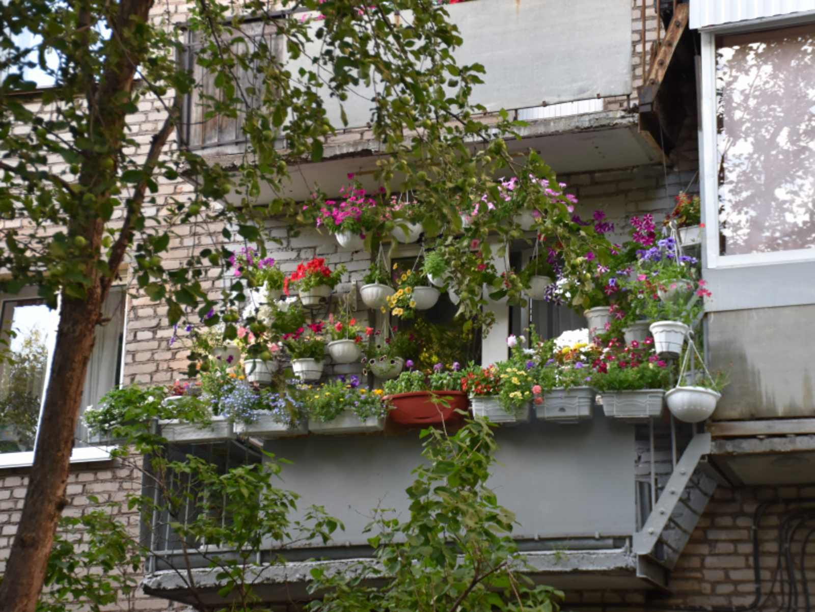 Фото Елены Колоколовой.