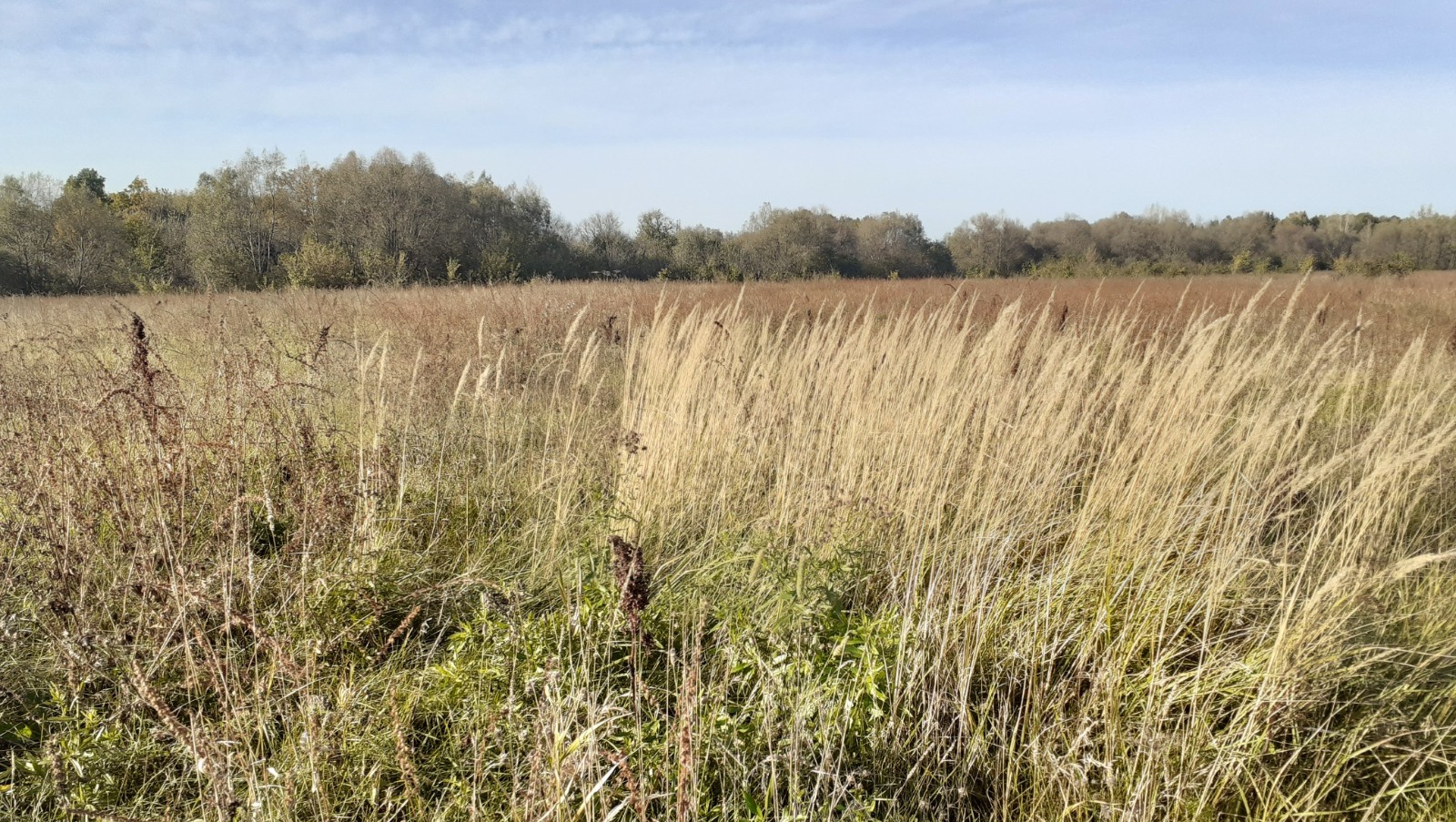 Владимира Шакиева. «Общественная электронная газета».