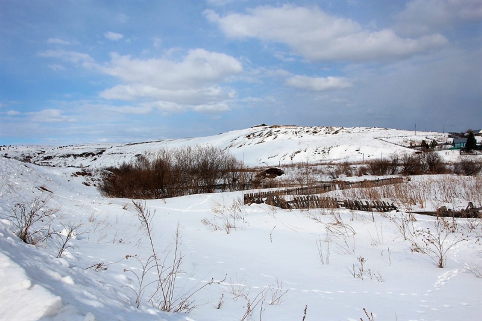 Фото Евгении Сюткиной.