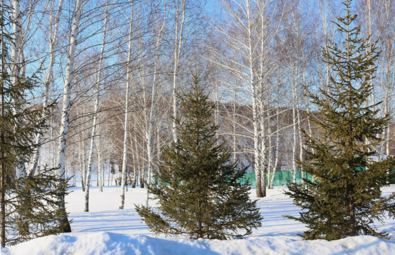 Фото Фарида Гильмиярова.