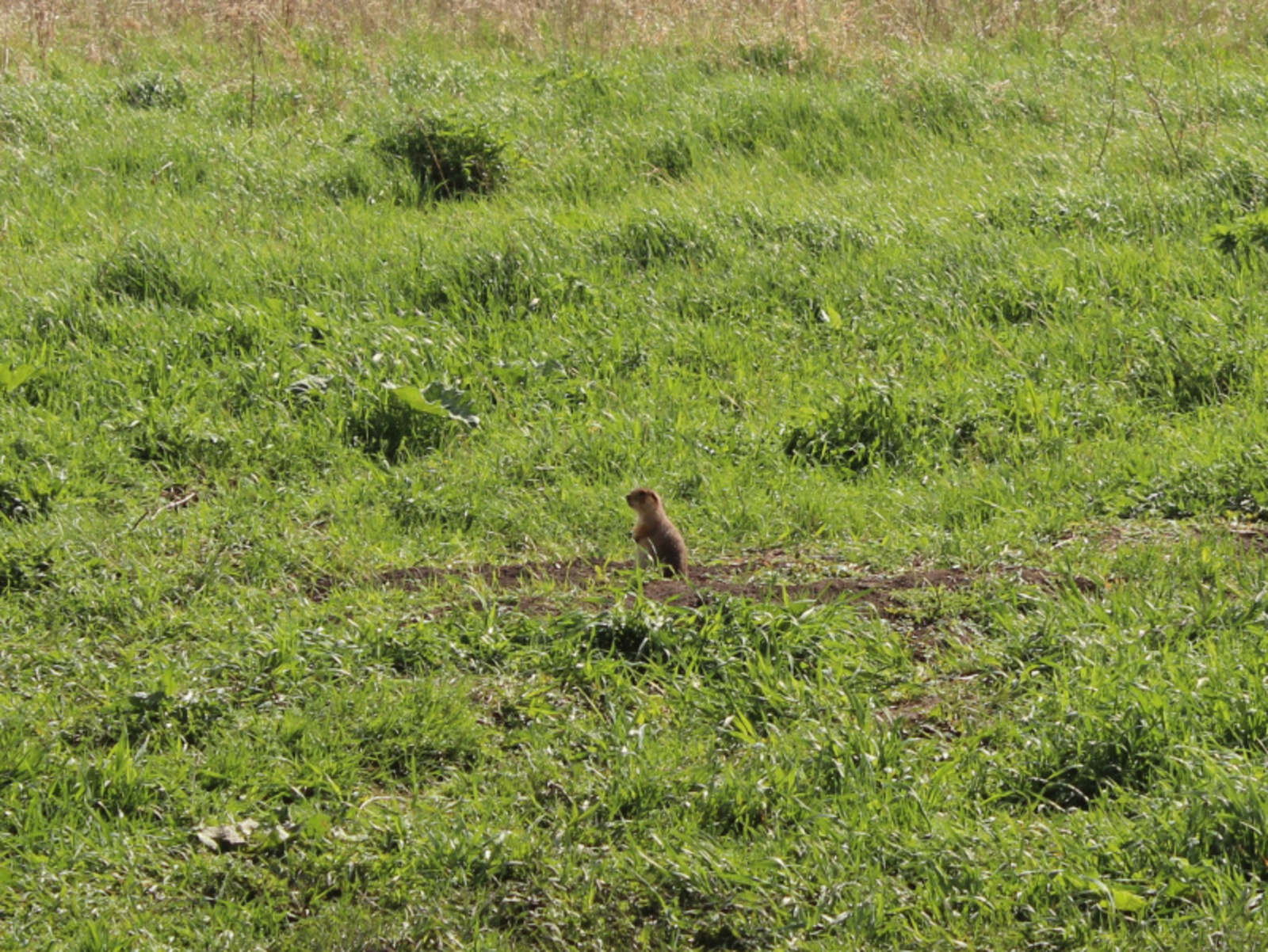 Фото Дарьи Святохиной.