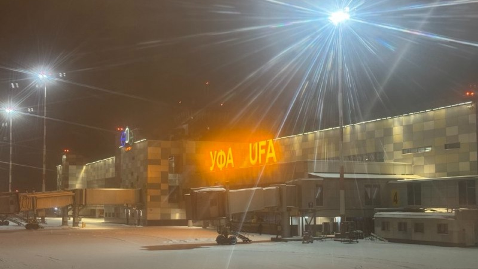 Елены Колоколовой.