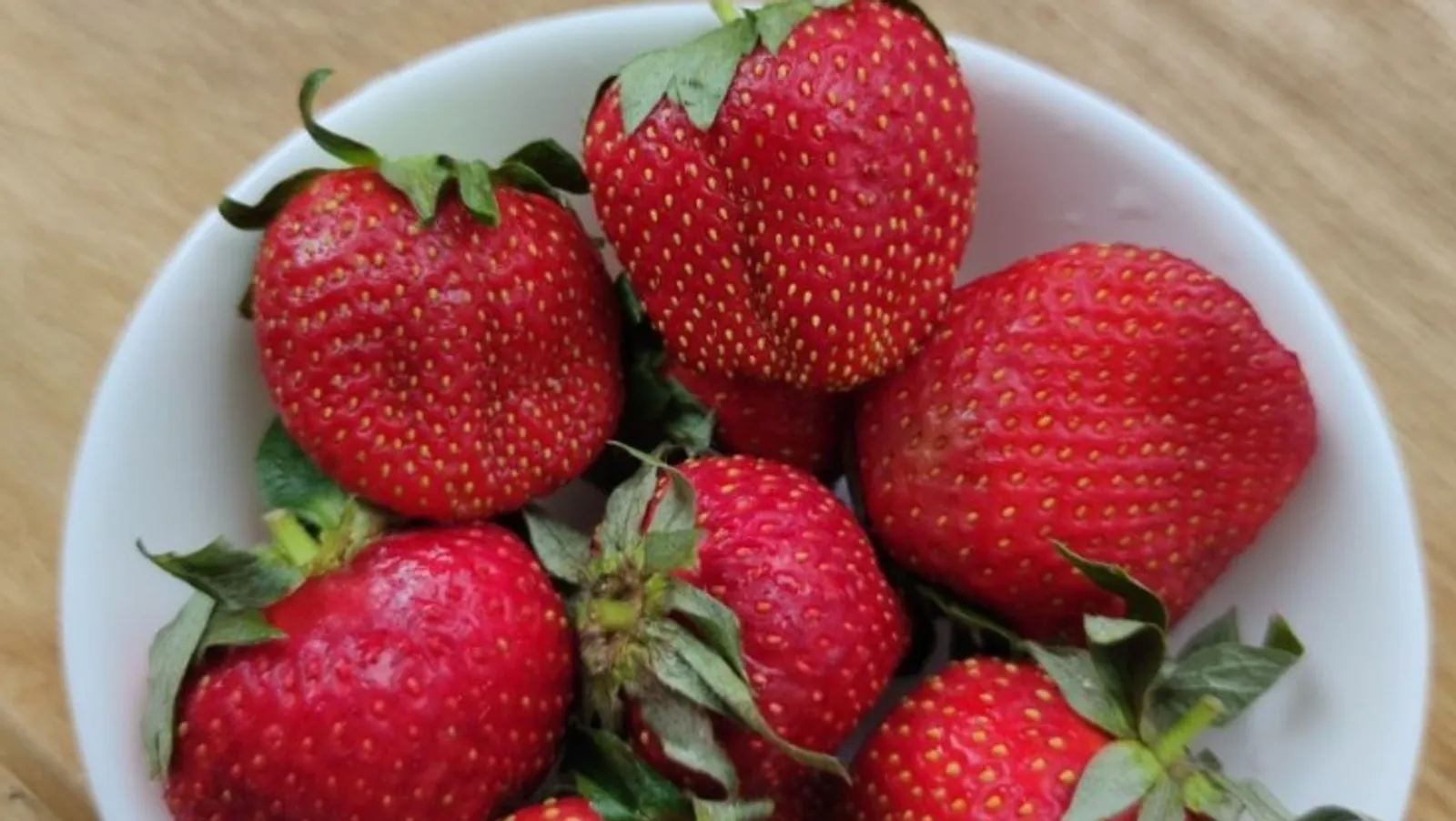 Дарьи Святохиной.