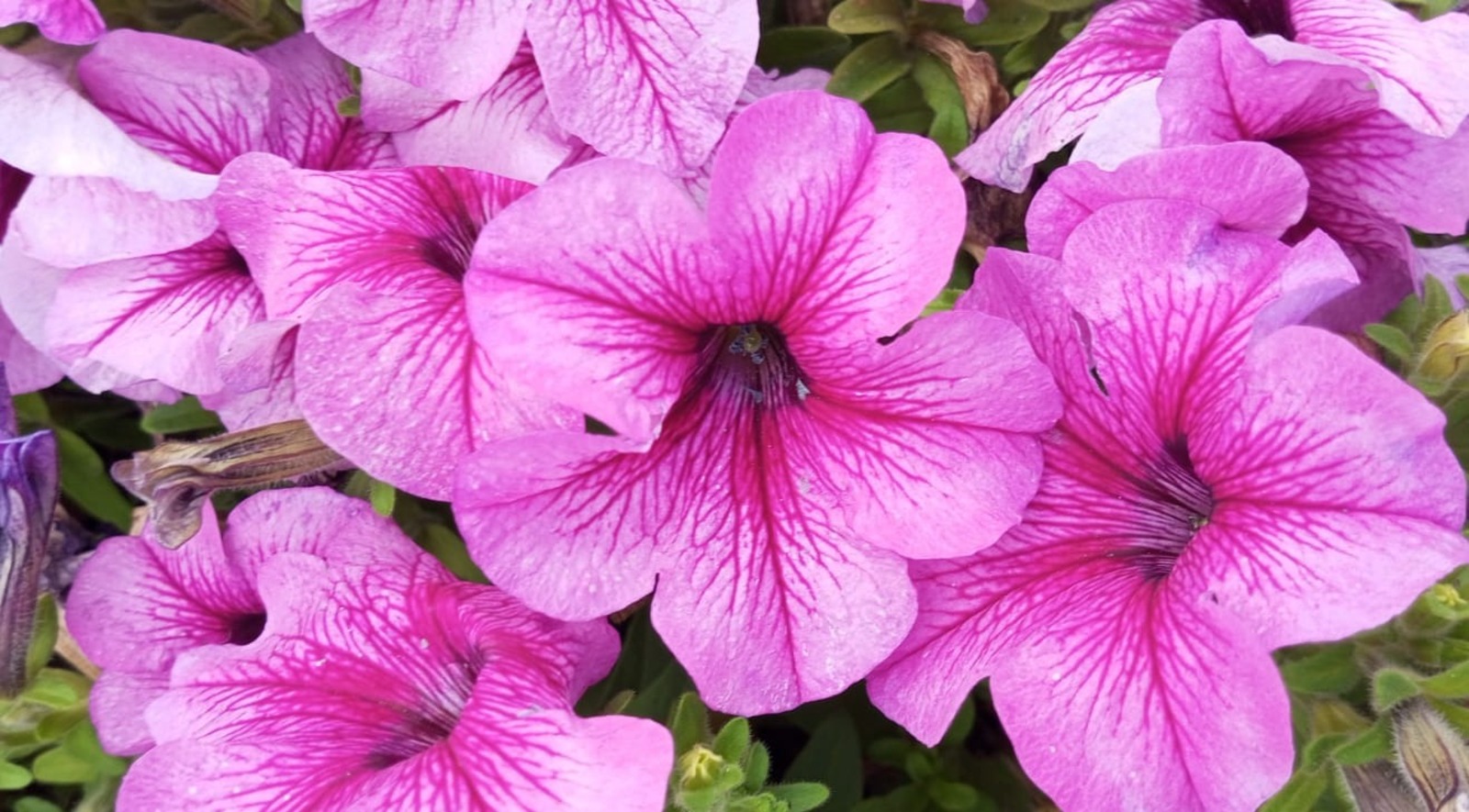 Евгении Сюткиной.