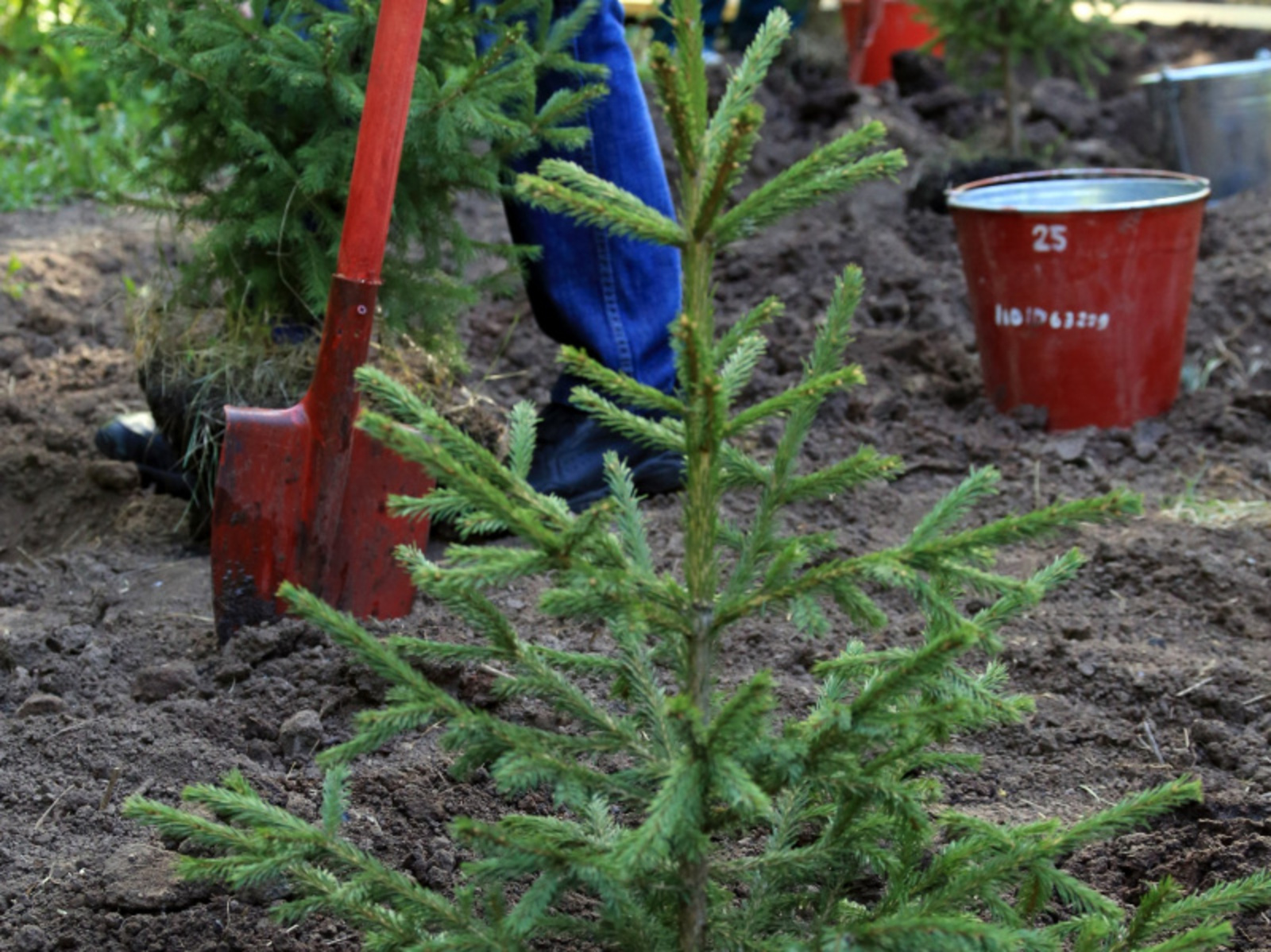 Фото Андрея Старостина.