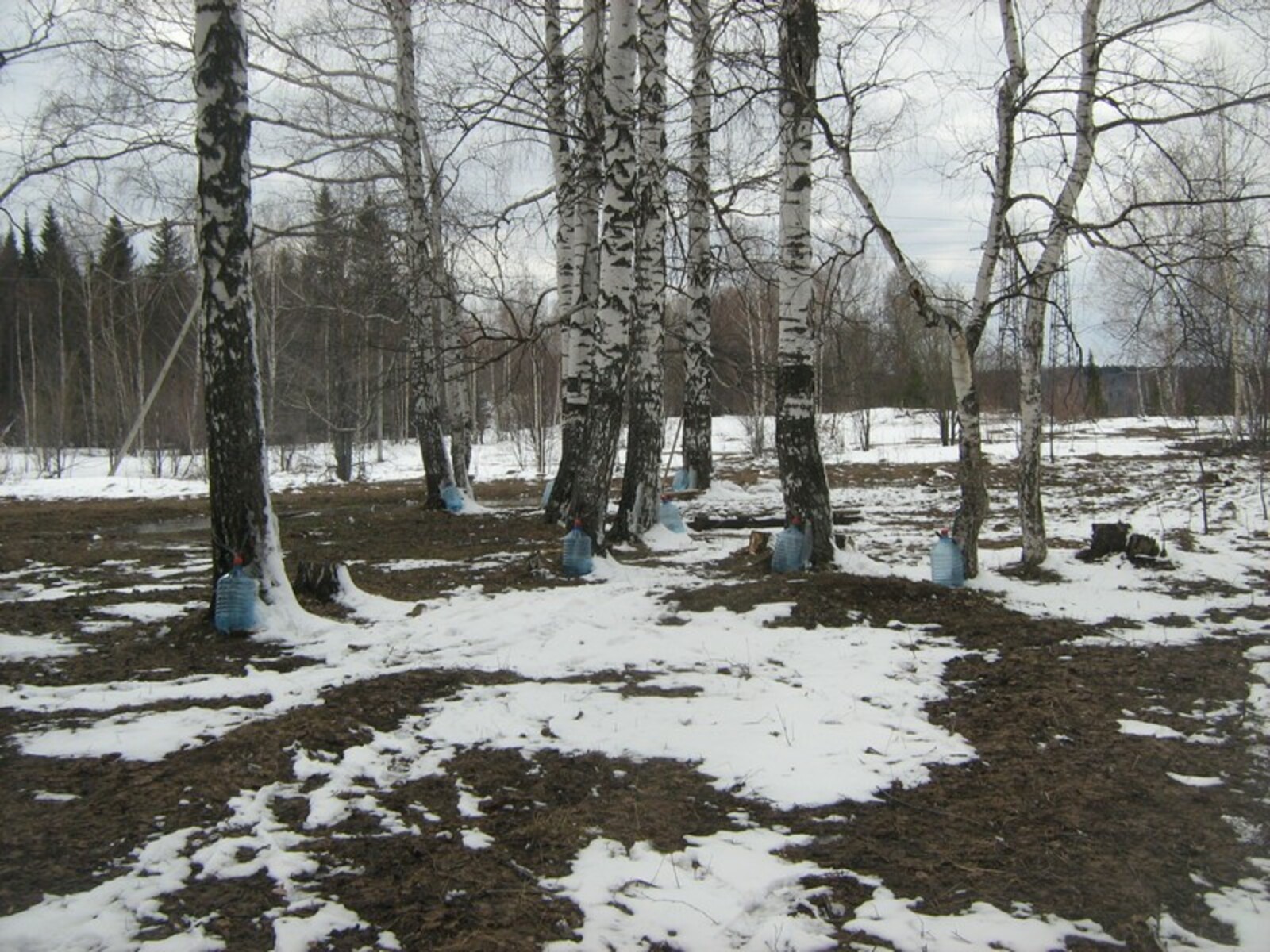 Фото автора.