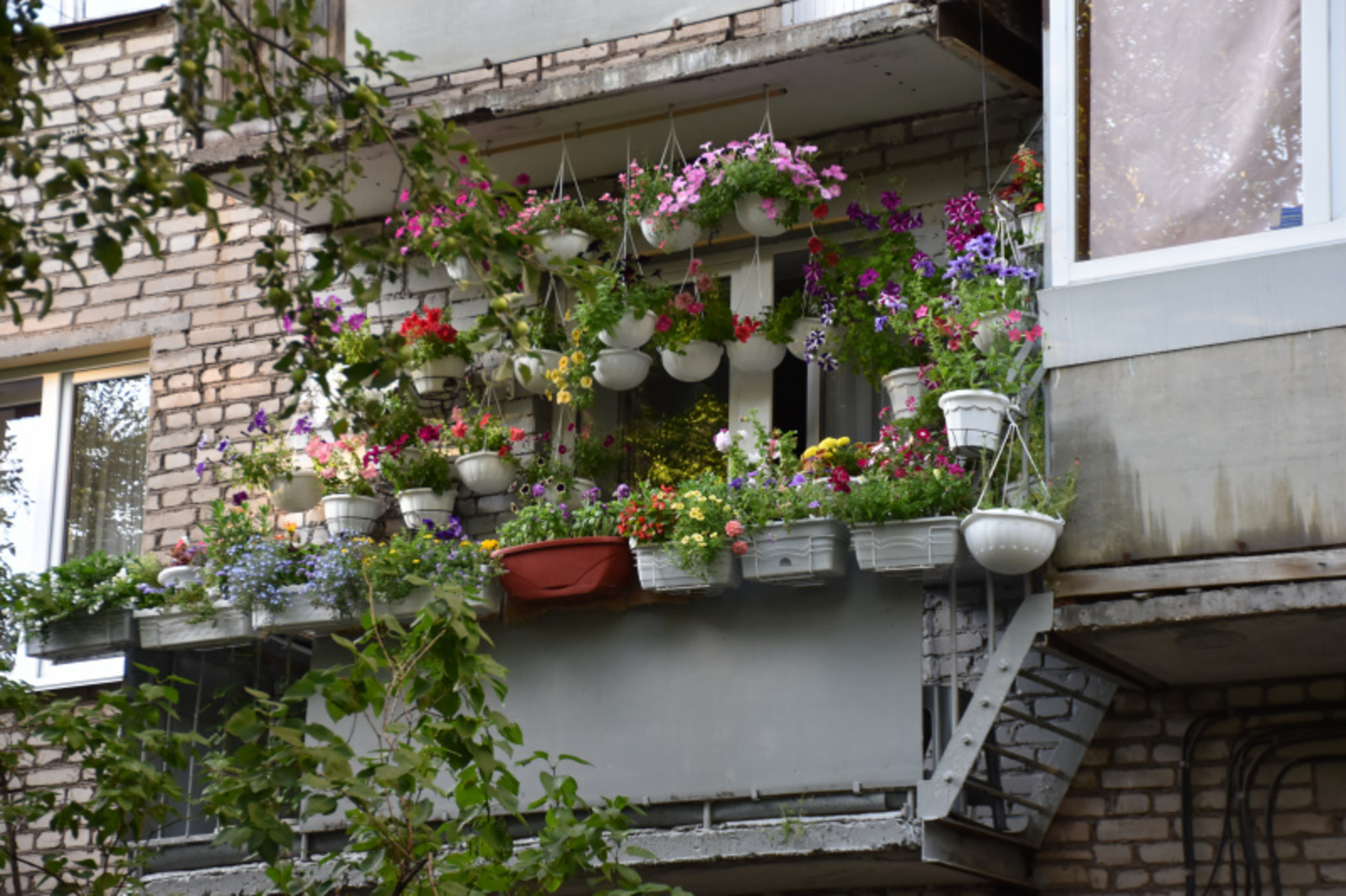 Фото Елены Колоколовой.