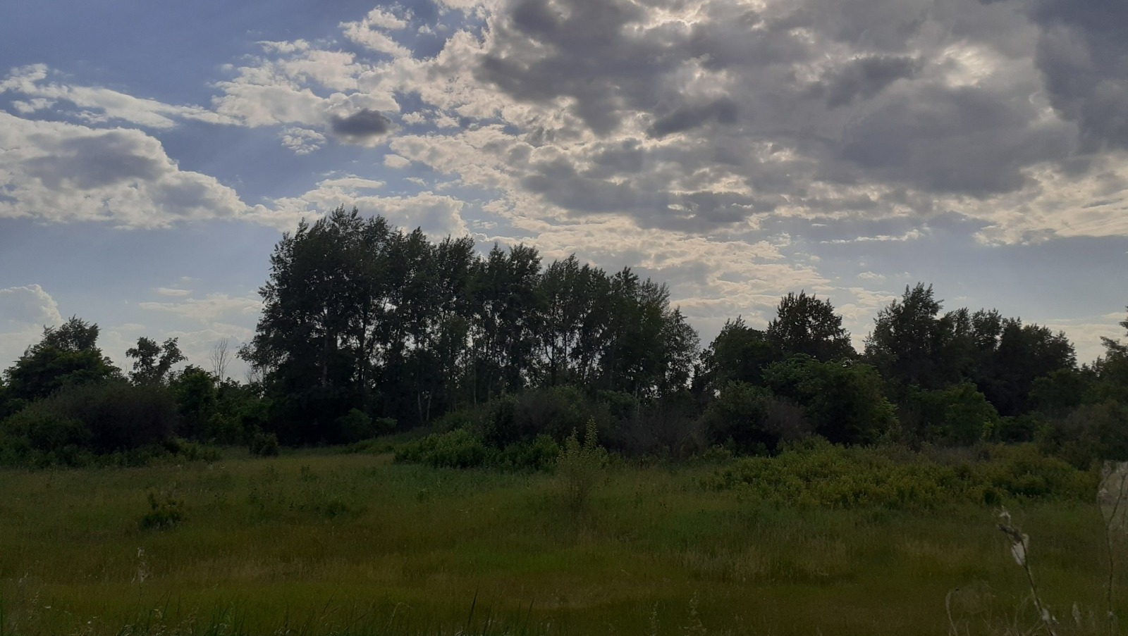 Владимира Шакиева.