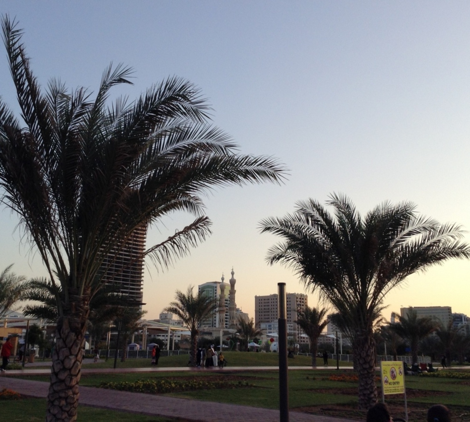 Фото автора.