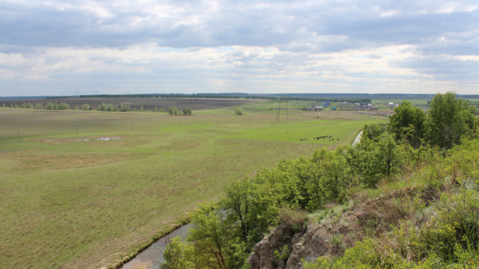 Фото автора.