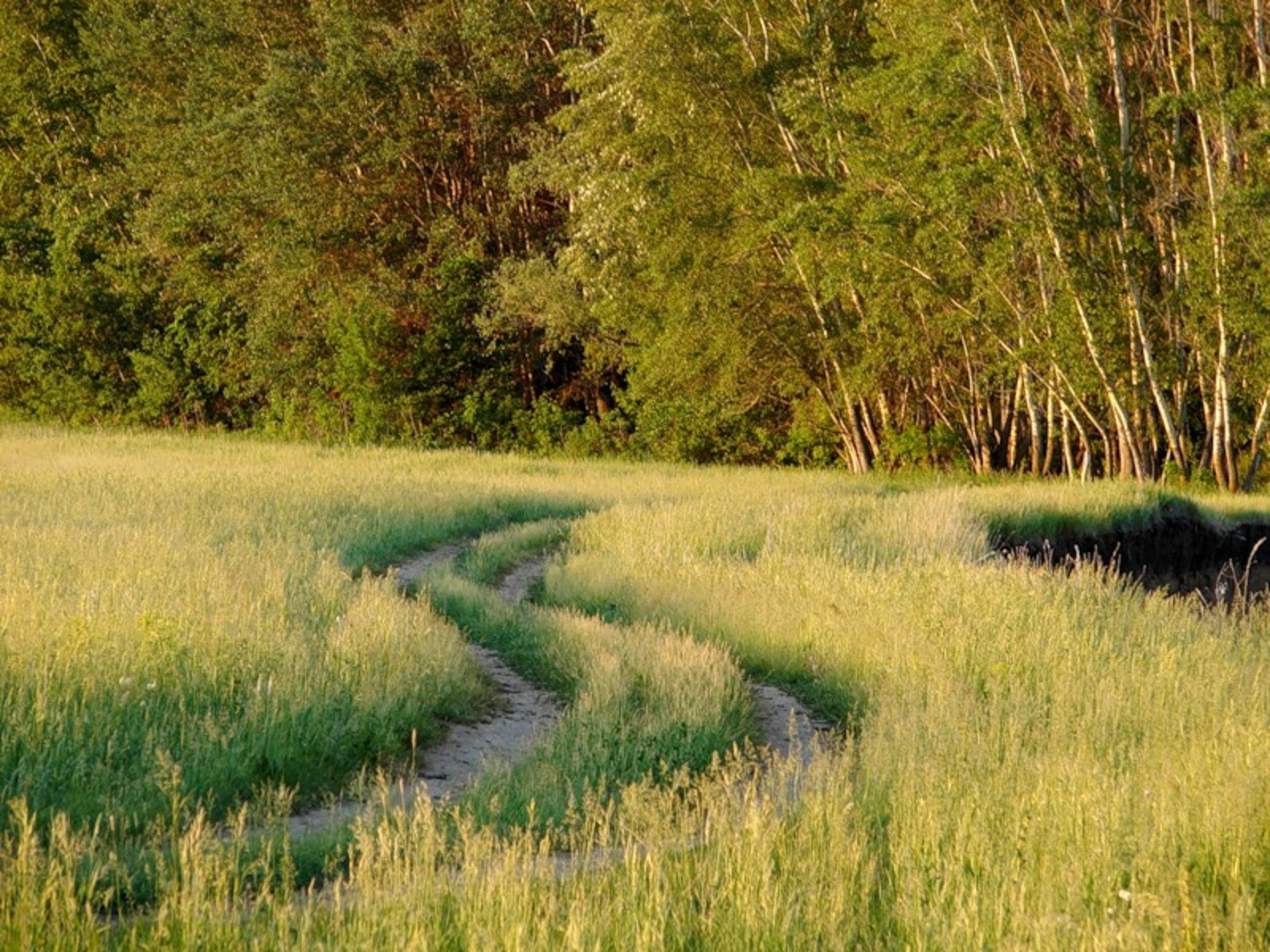 Фото с сайта www.fotki.yandex.ru.