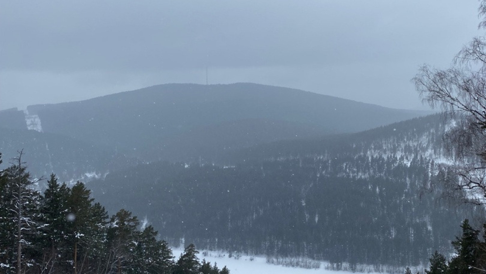 Елены Колоколовой.