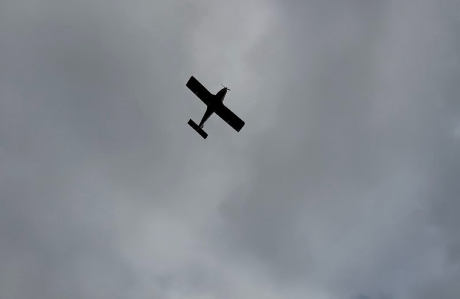 Елены Колоколовой. «Общественная электронная газета».