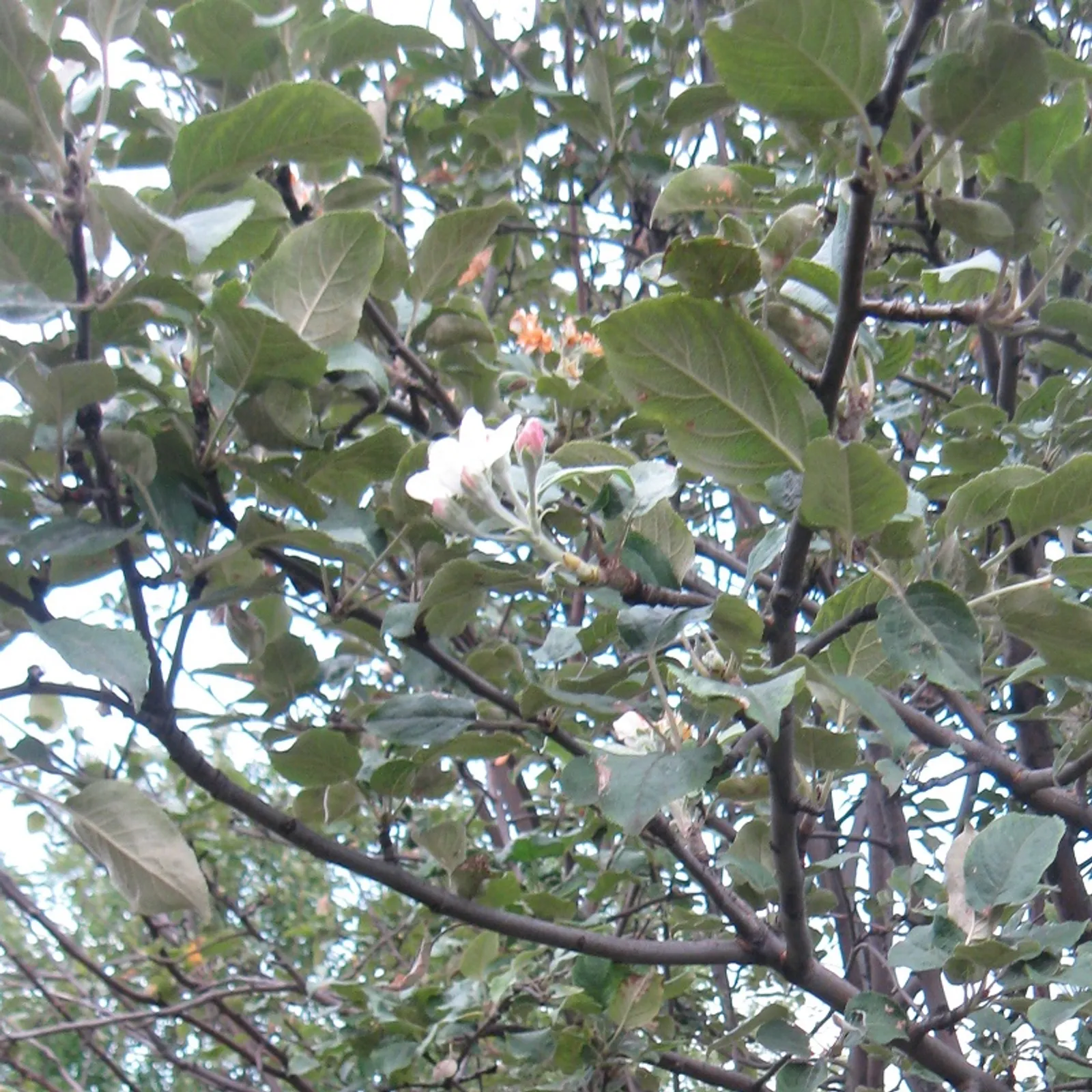 Фото предоставлено автором.