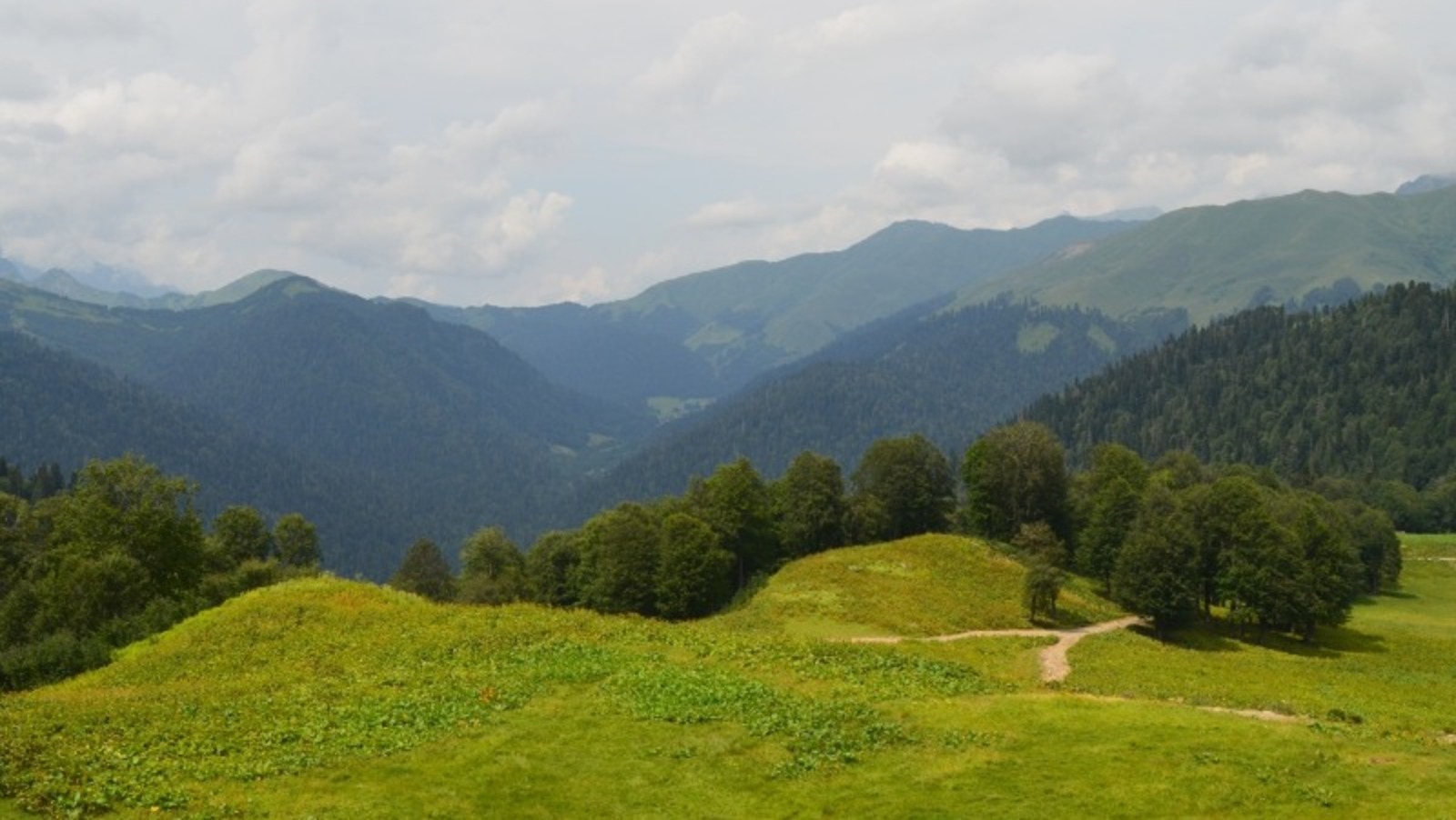 Владимира Шакиева.