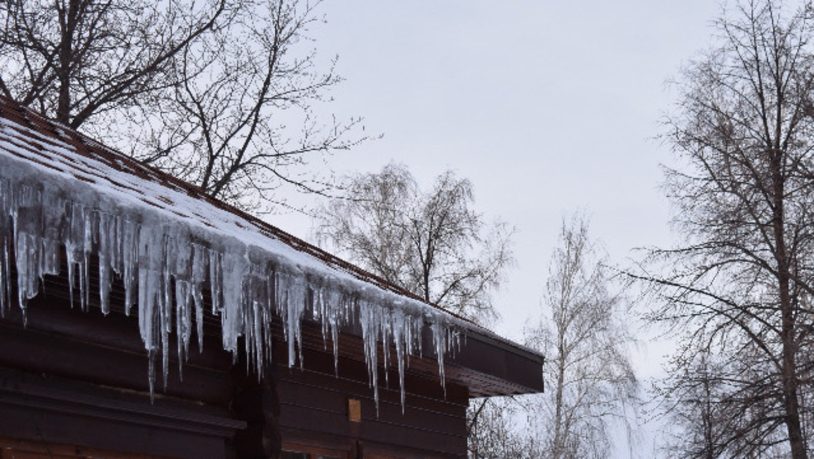 Елены Колоколовой.