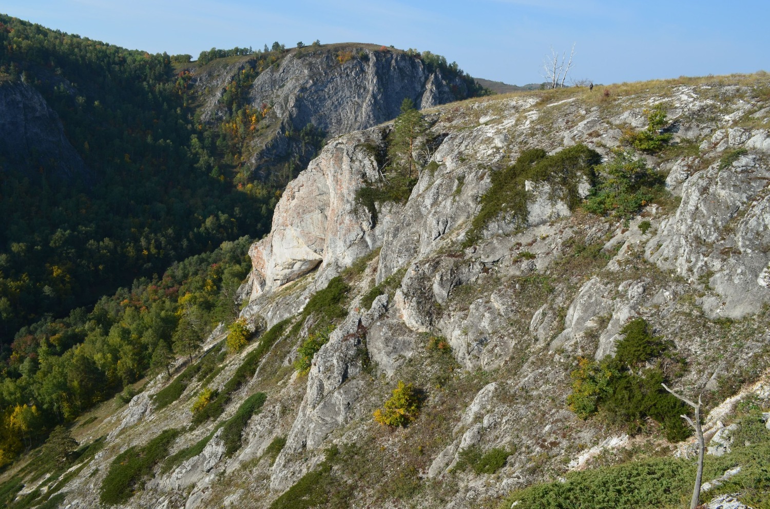 Владимира Шакиева.