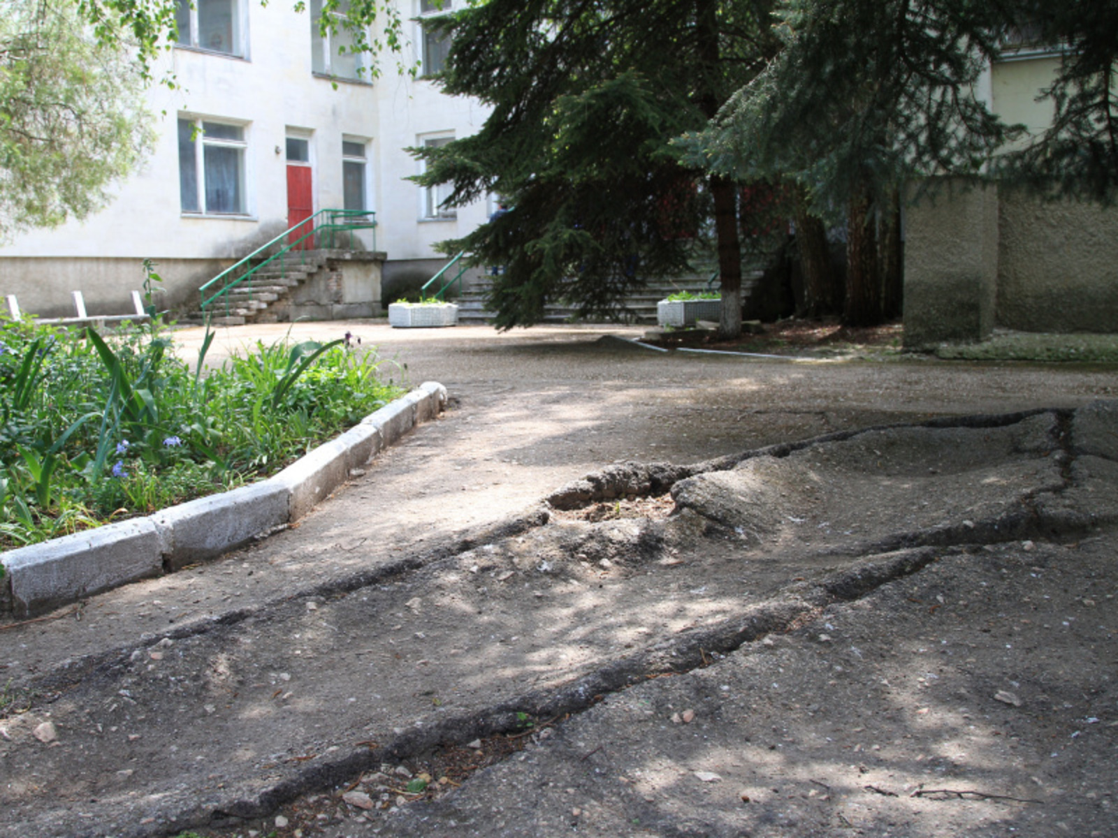 Фото Олега Яровикова.