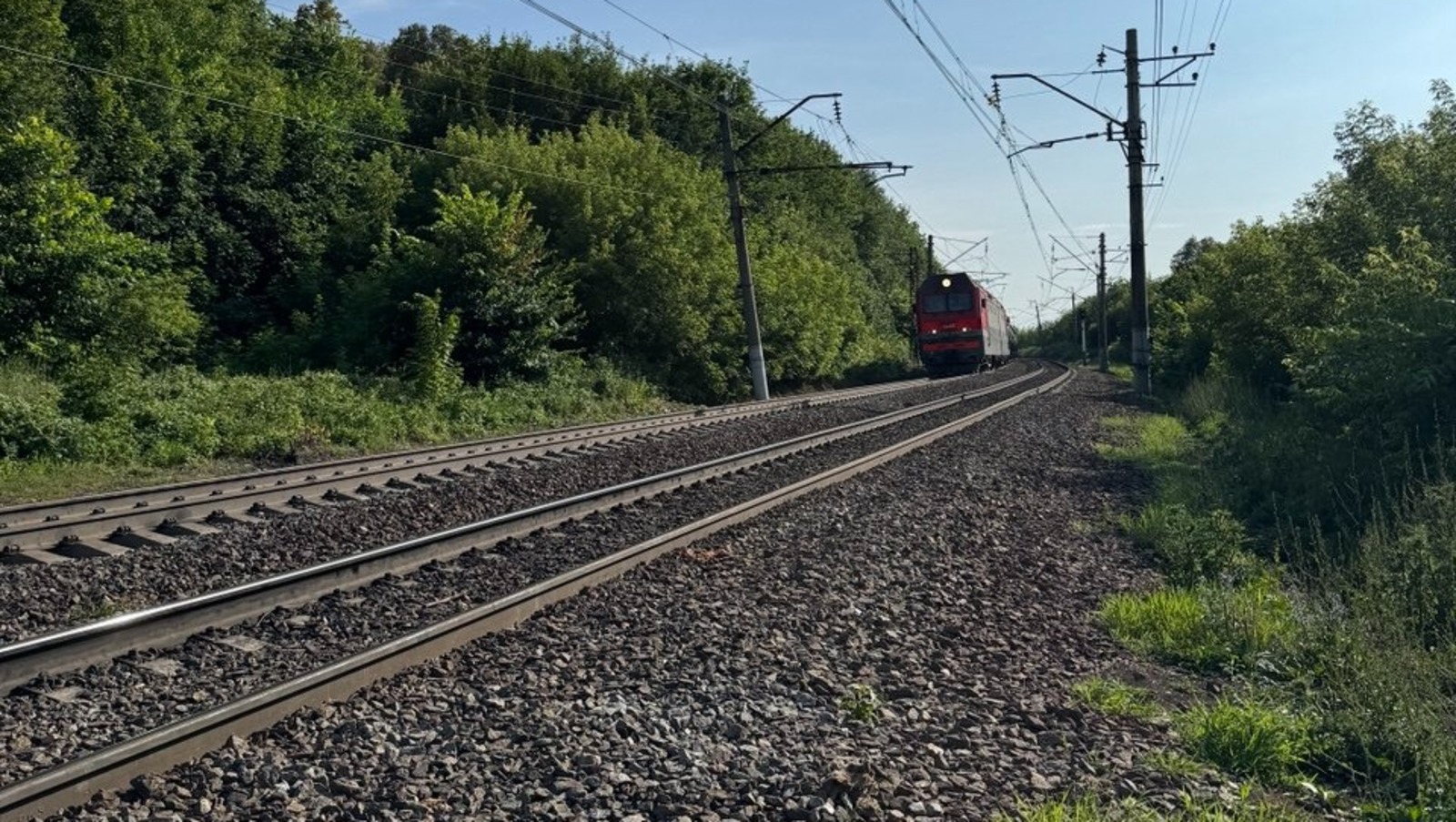 Елены Колоколовой.