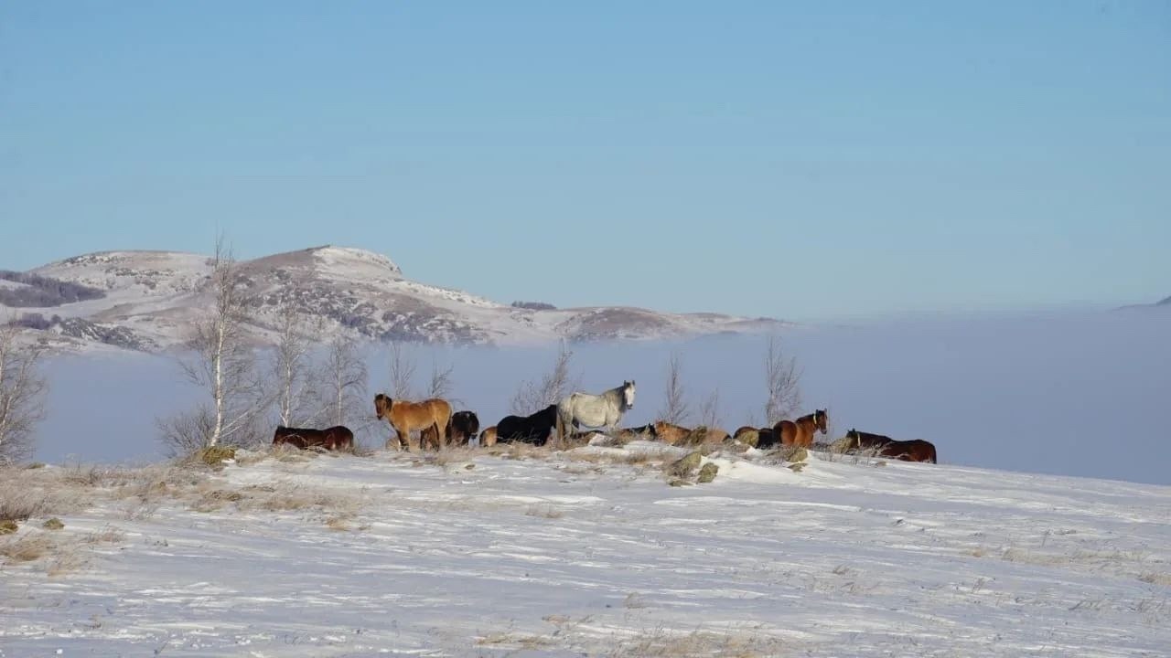 c личной страницы Радия Хабирова в соцсети. c личной страницы Радия Хабирова в соцсети.
