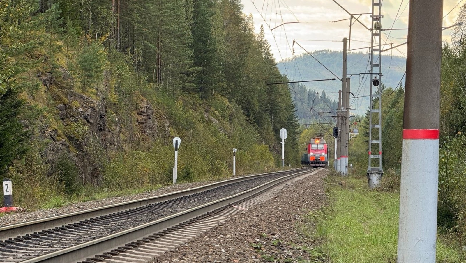 Елены Колоколовой.