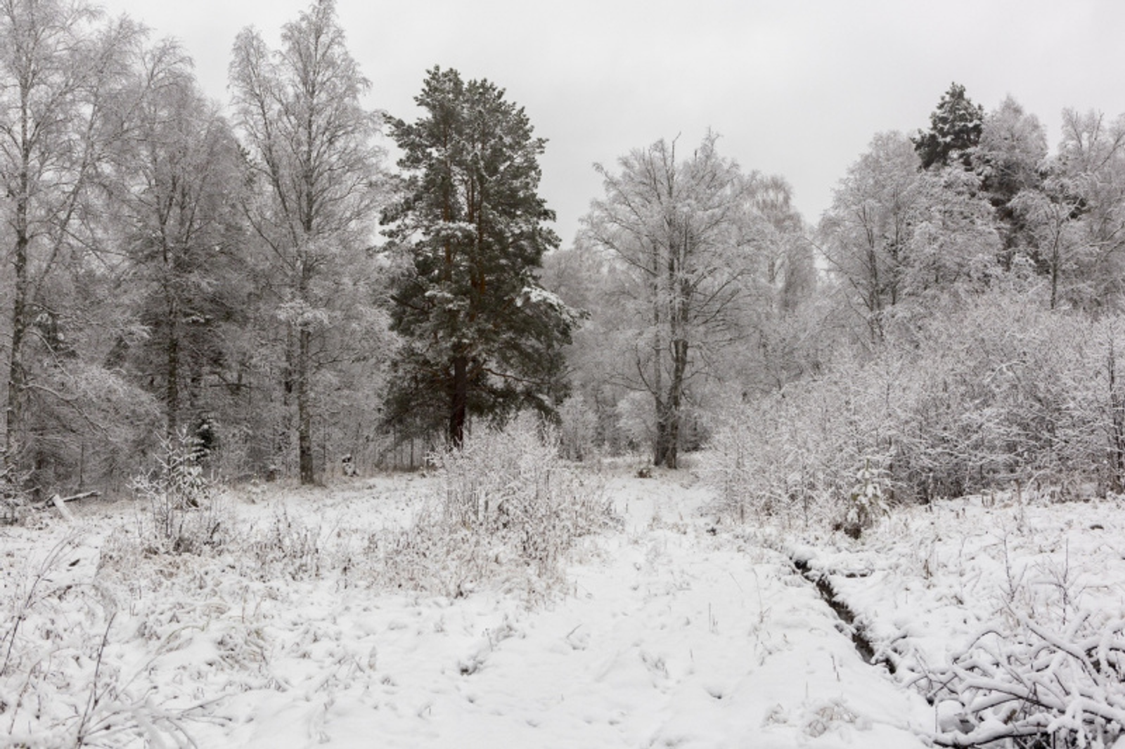 Фото Фаиля Абсатарова.