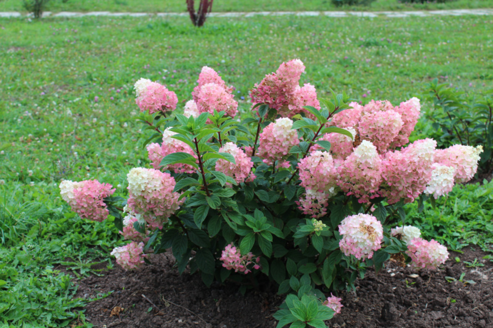 Фото автора.