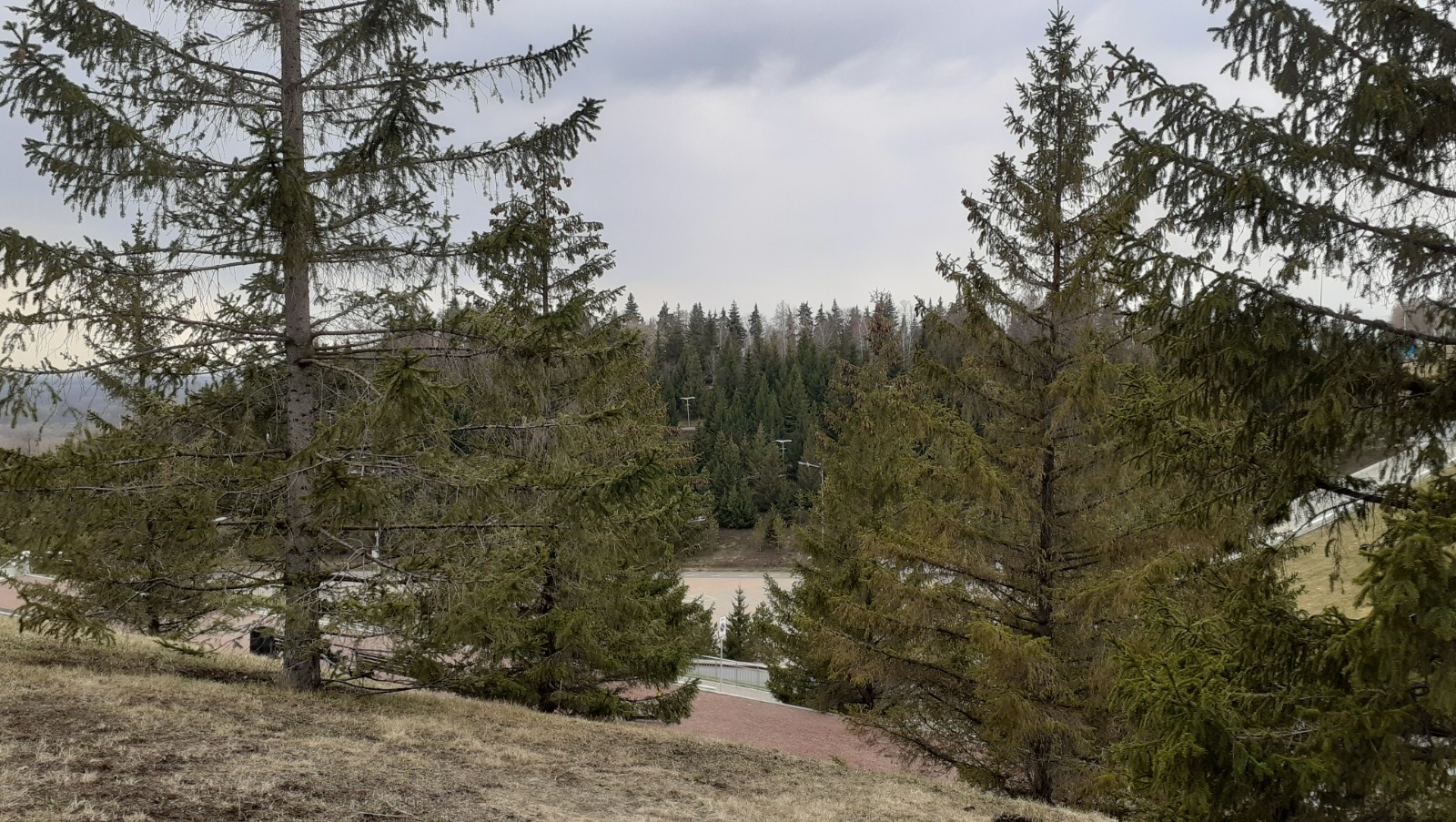 Владимира Шакиева.