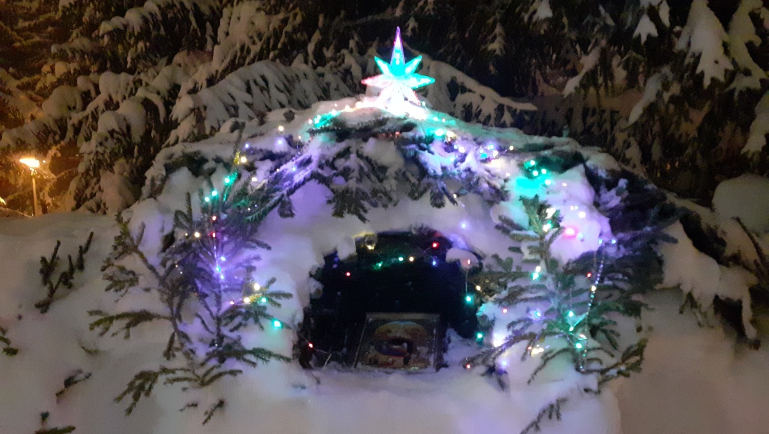 Владимира Шакиева.