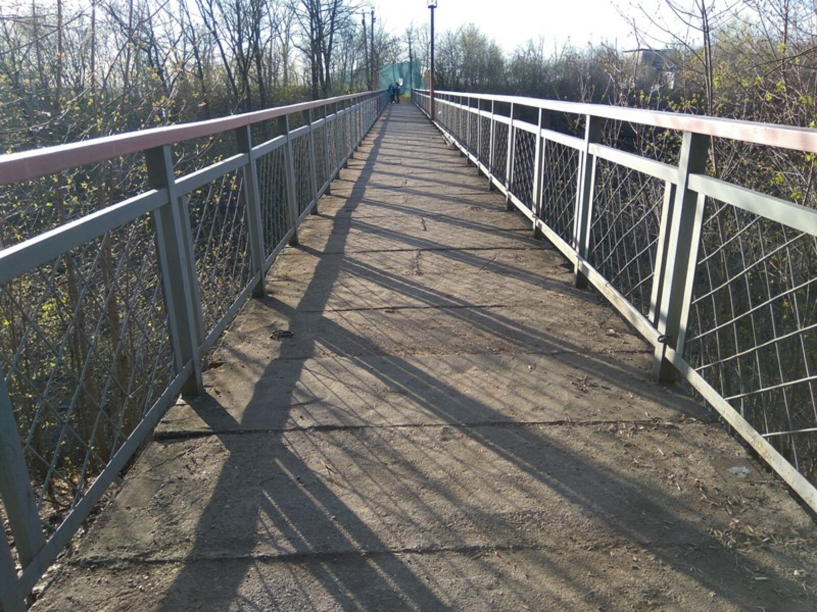 Фото Олега Яровикова.