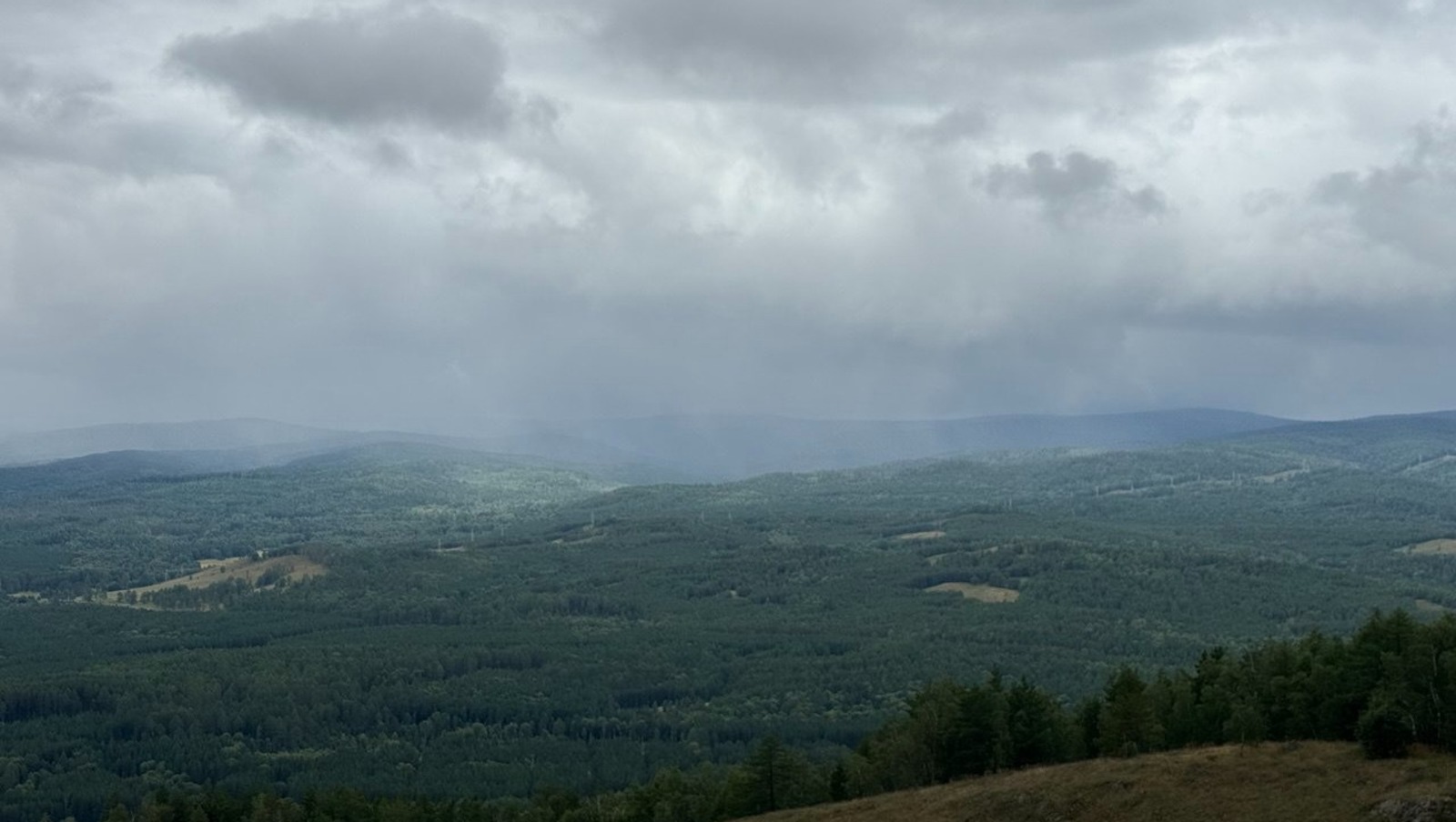 Елены Колоколовой.