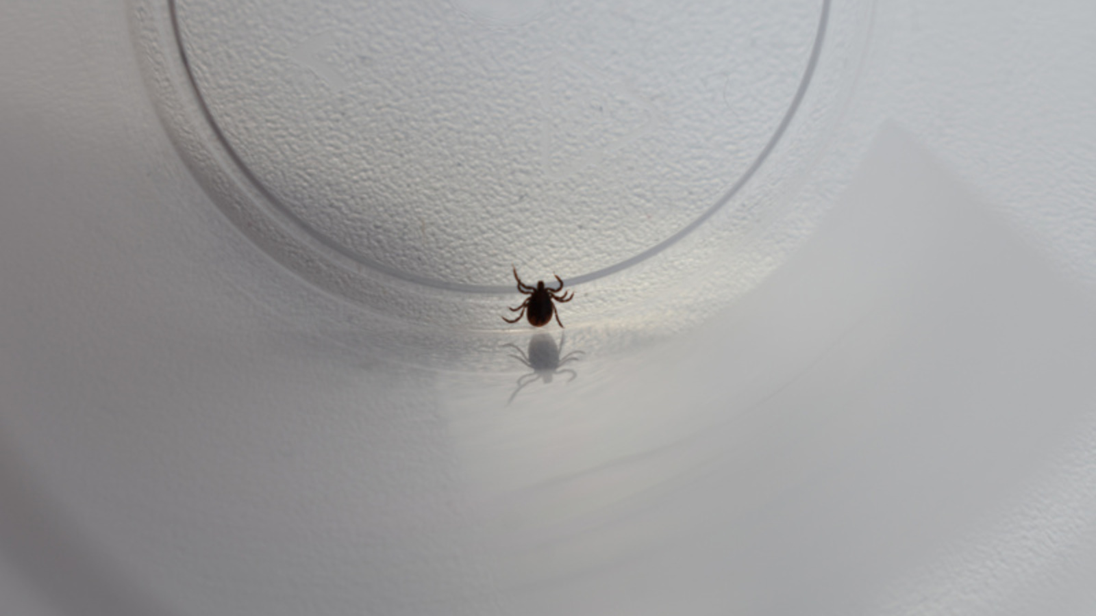 Фото Елены Колоколовой.