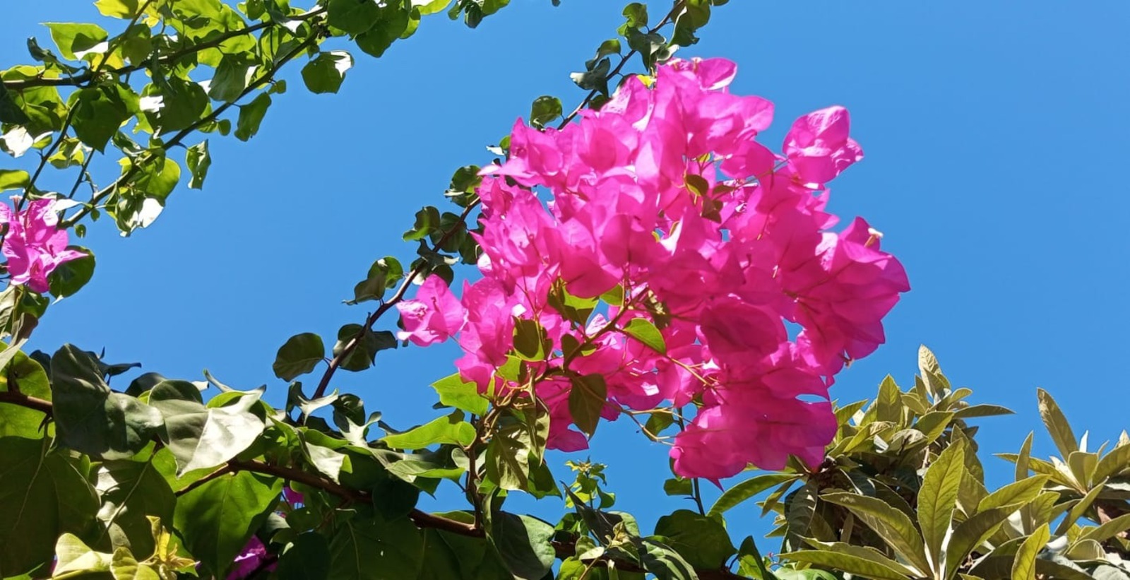 Евгении Сюткиной.