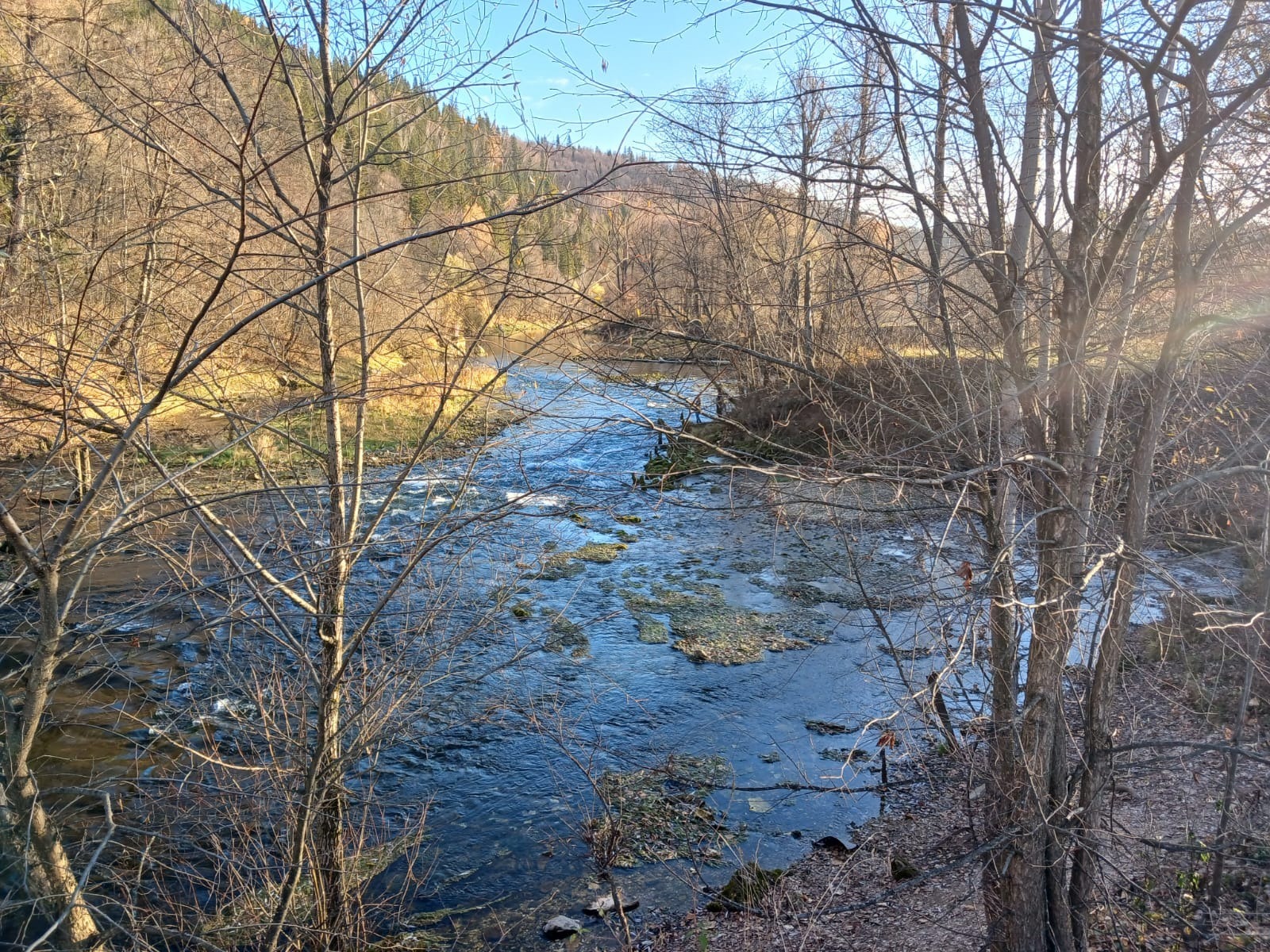 Васили Саитовой.